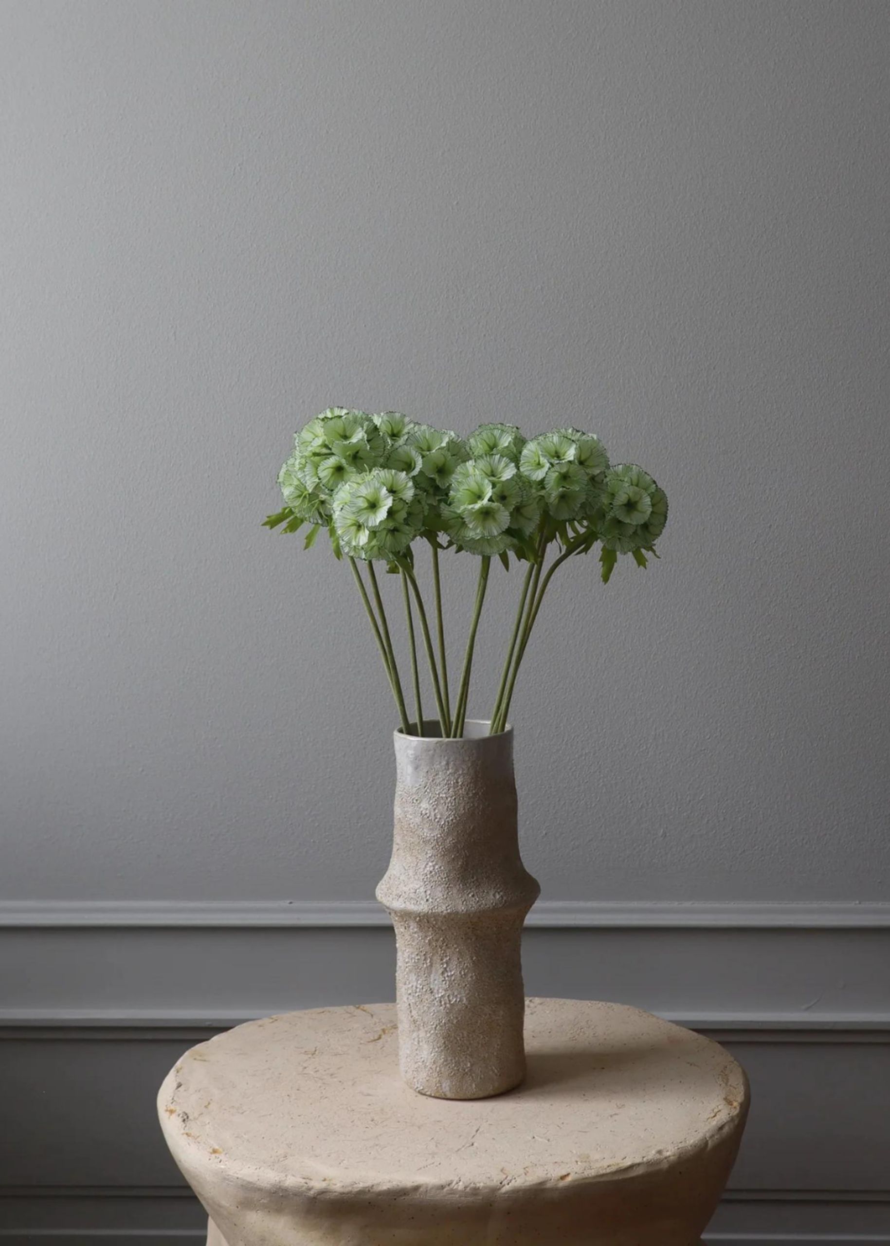 Botané - Artificial flowers - Flower stems - Scabiosa Seed Pod light green