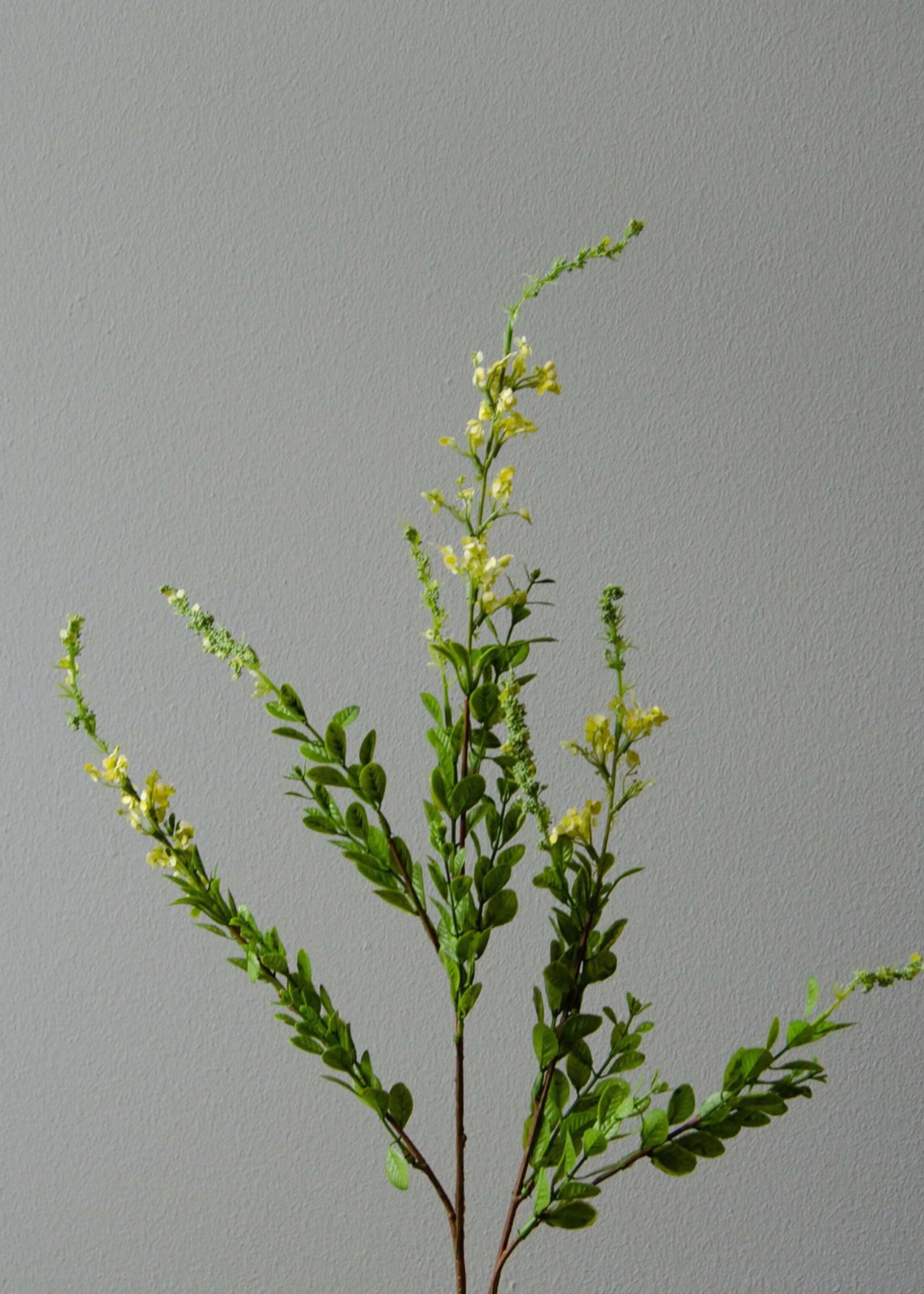 Botané - Keinokukat - Flower stems - Wild yellow