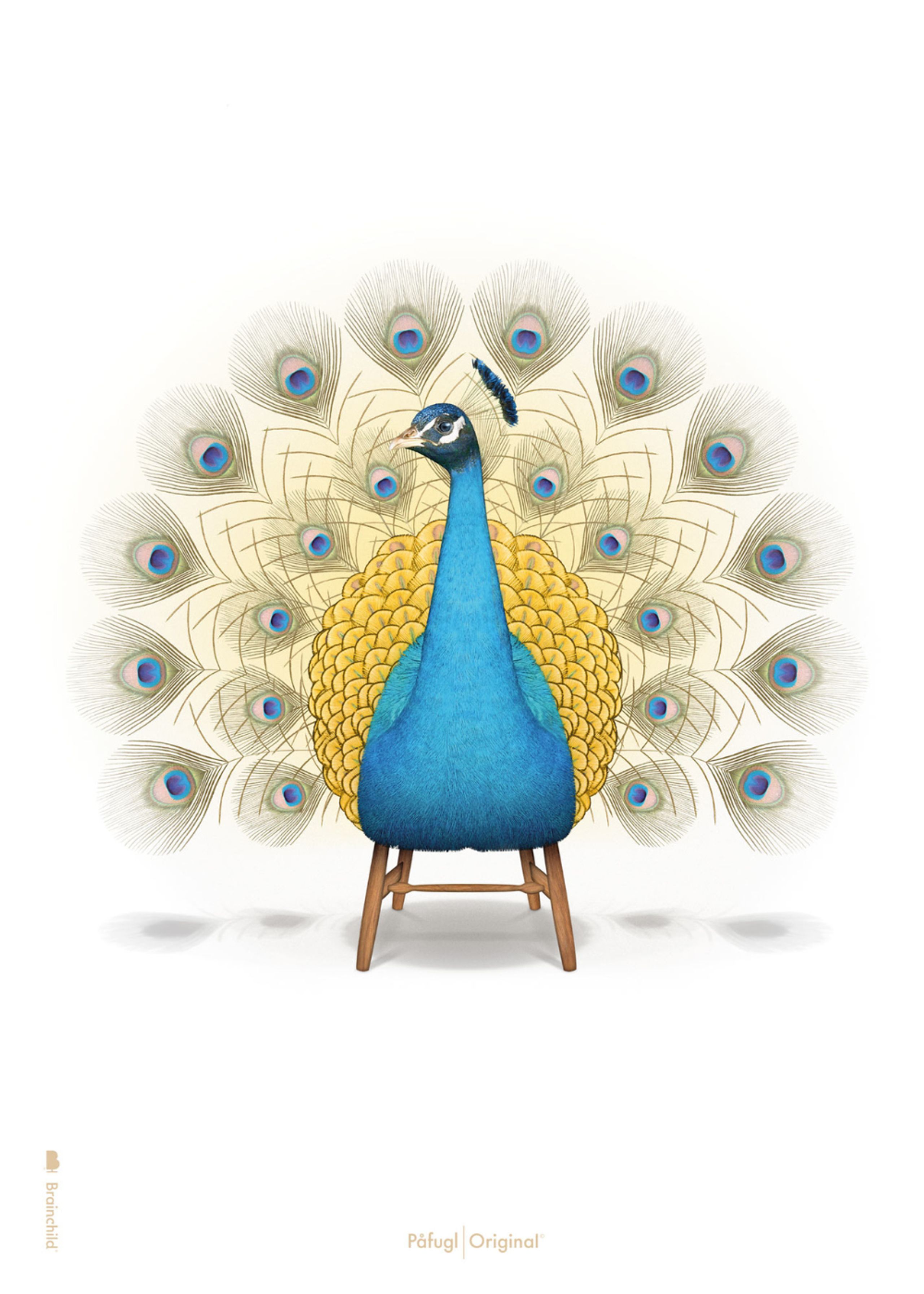 Brainchild - Poster - Classic Peacock Poster - White - No Frame