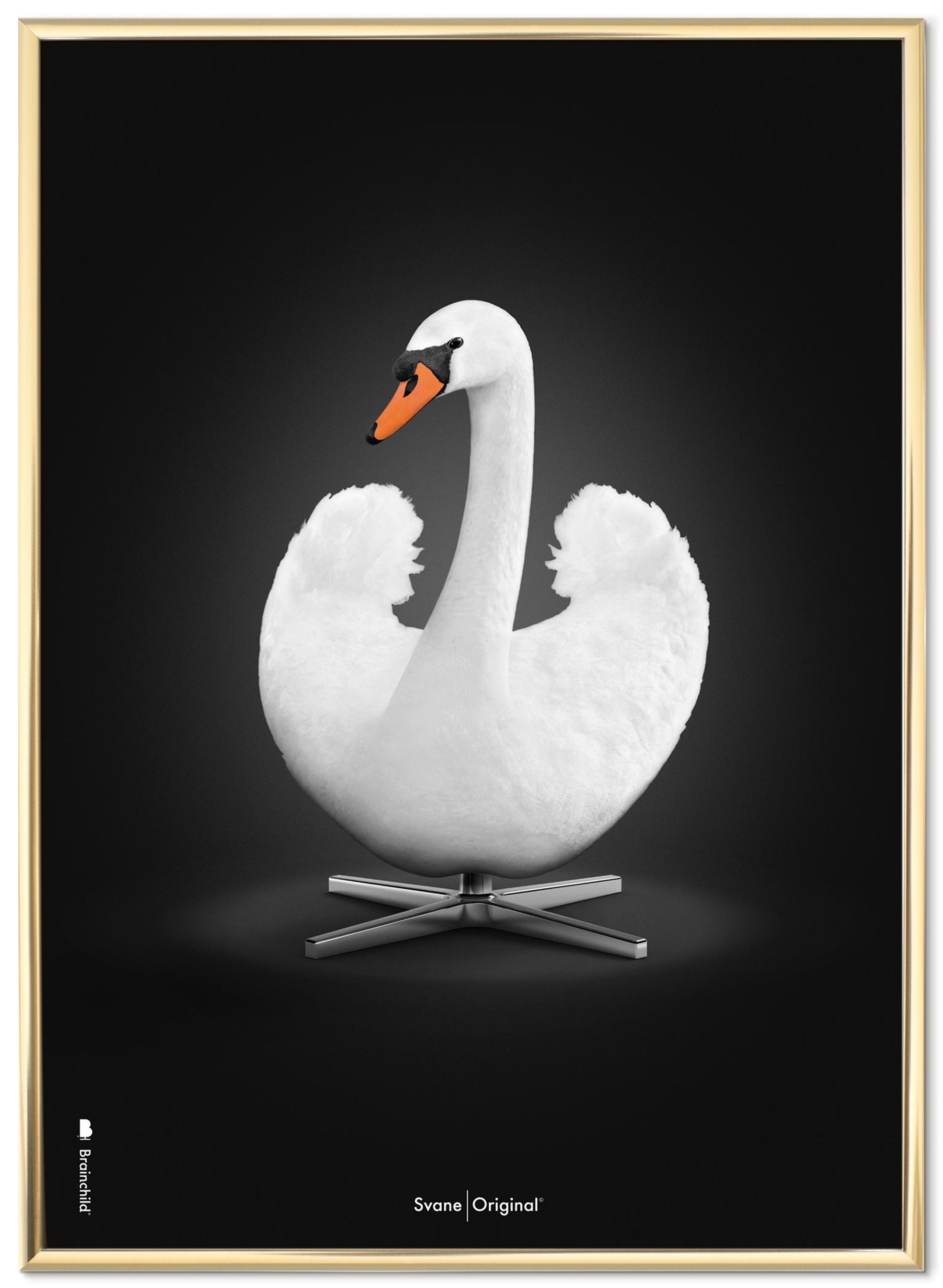 Brainchild - Plakat - Klassisk – Sort baggrund – Hvid svane - Messingfarvet ramme