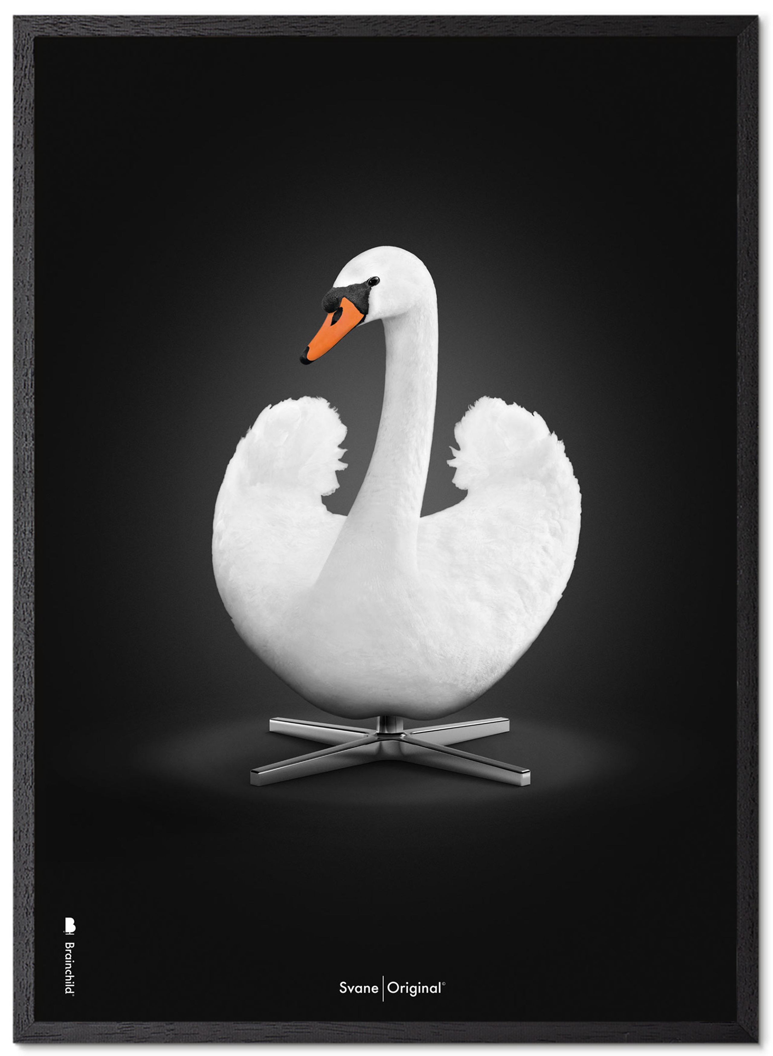 BrainChild - Poster - Klassisk – Sort baggrund – Hvid svane - Ramme i sortmalet egetræ