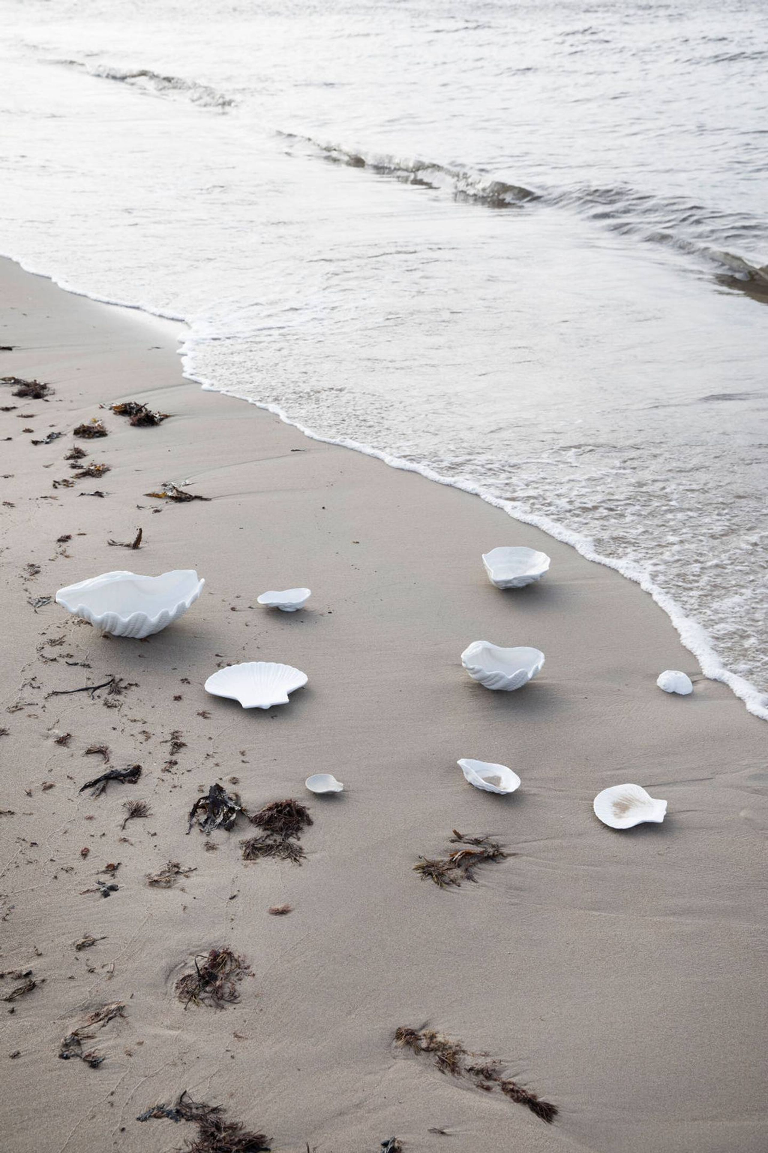 Byon - Doska - Plate Shell M - White