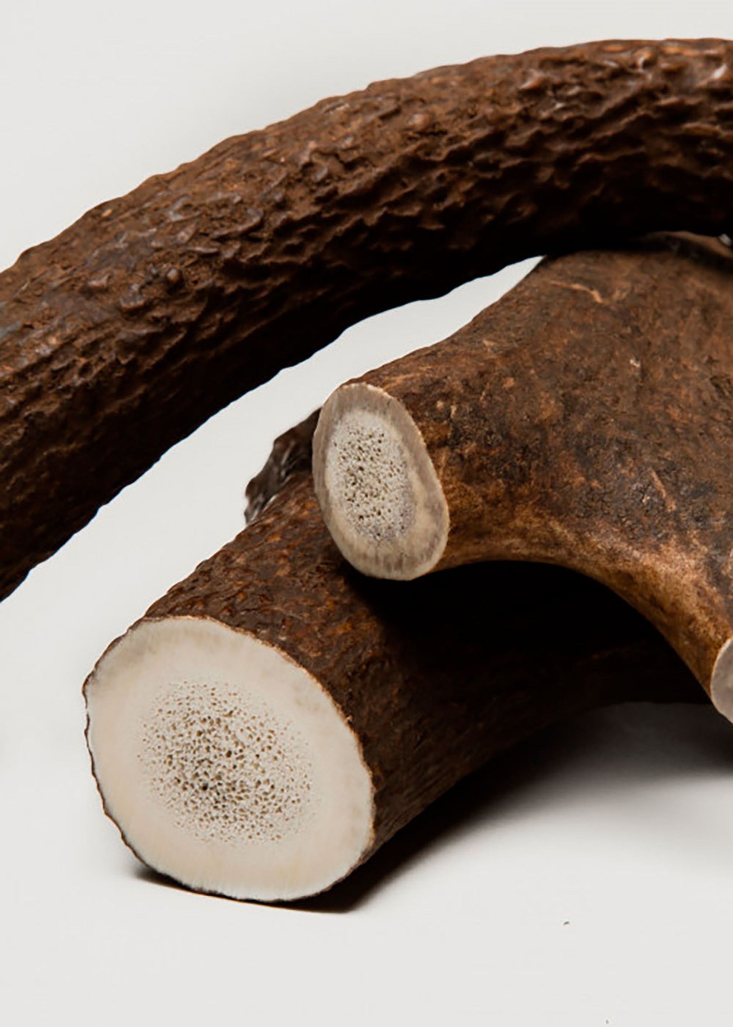 Cloud7 - Deer antlers - Natural Chewing Rod - Natural Chewing Rod