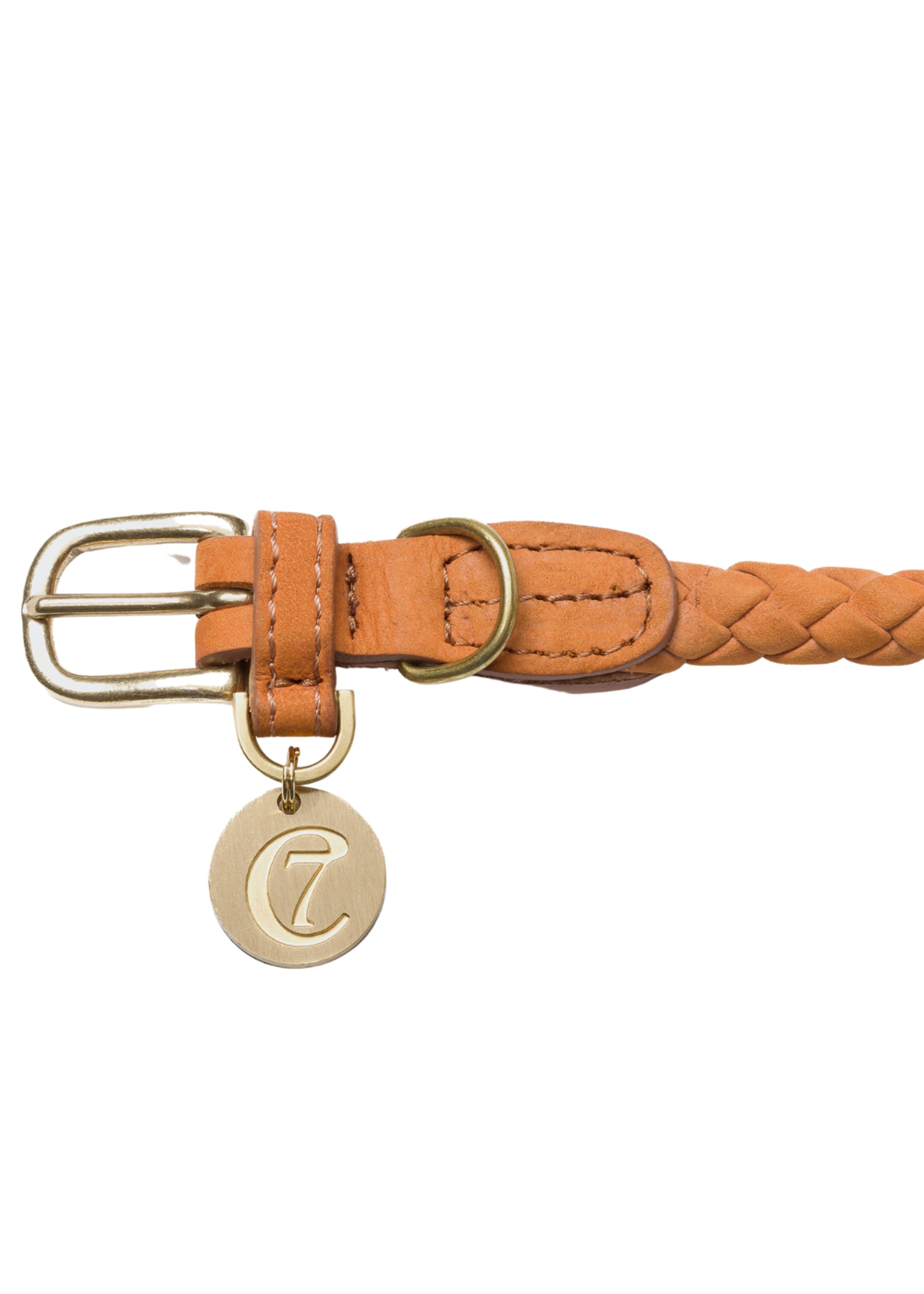 Cloud7 - Collares para perros - Dog Collar Ravello Pumpkin - Pumpkin