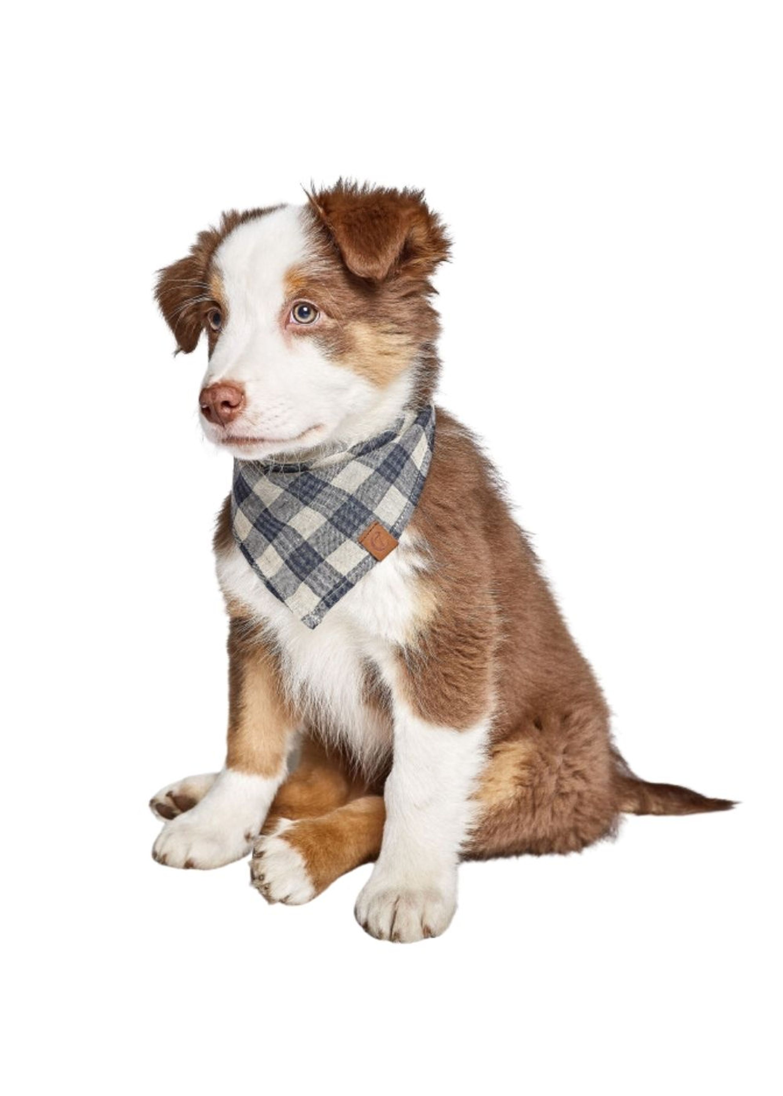 Cloud7 - Hundetøj - Dog Bandana - Check Dark Blue/Beige