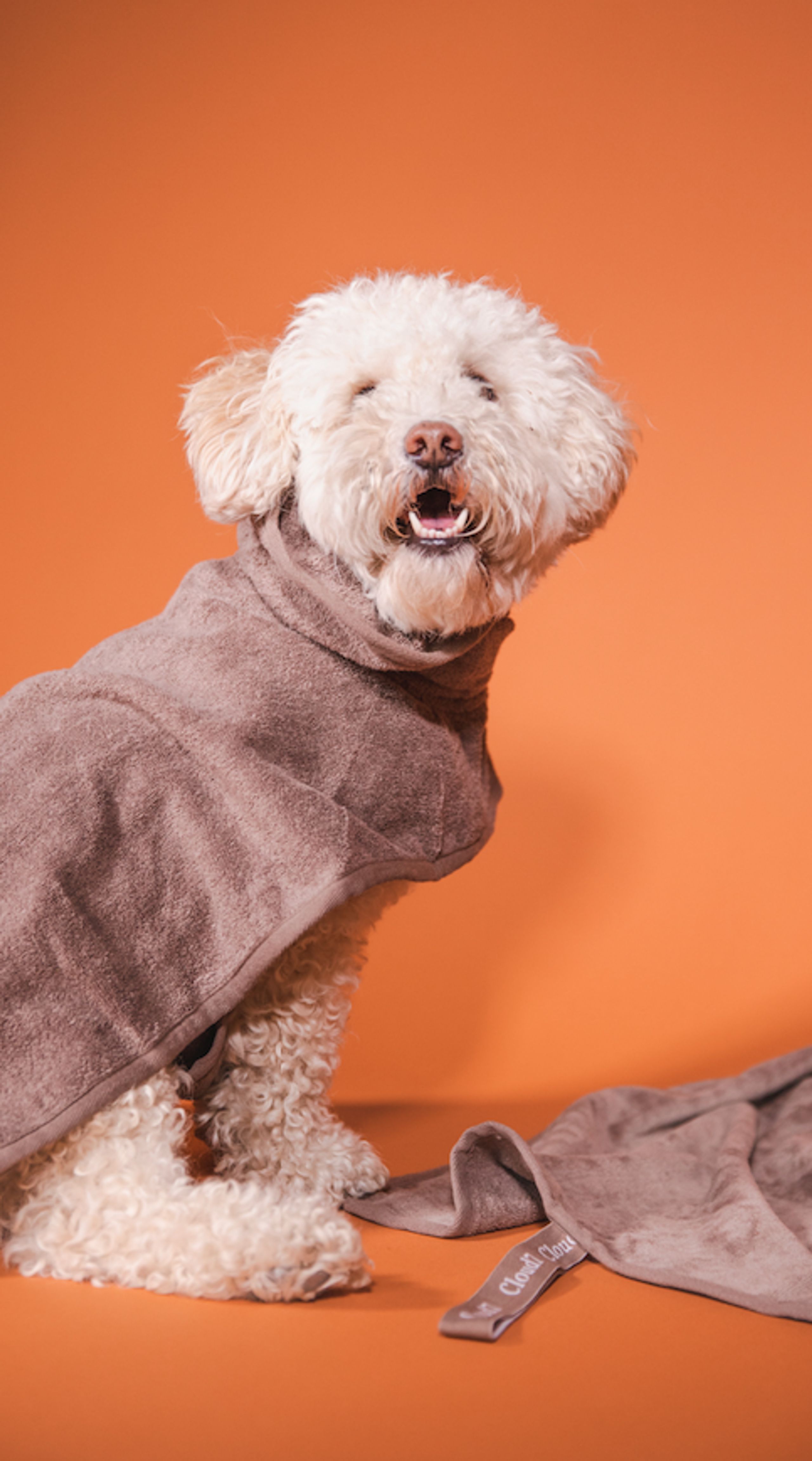 Cloud7 - Hundebekleidung - Dog Bathrobe Föhr - Stone - Stone