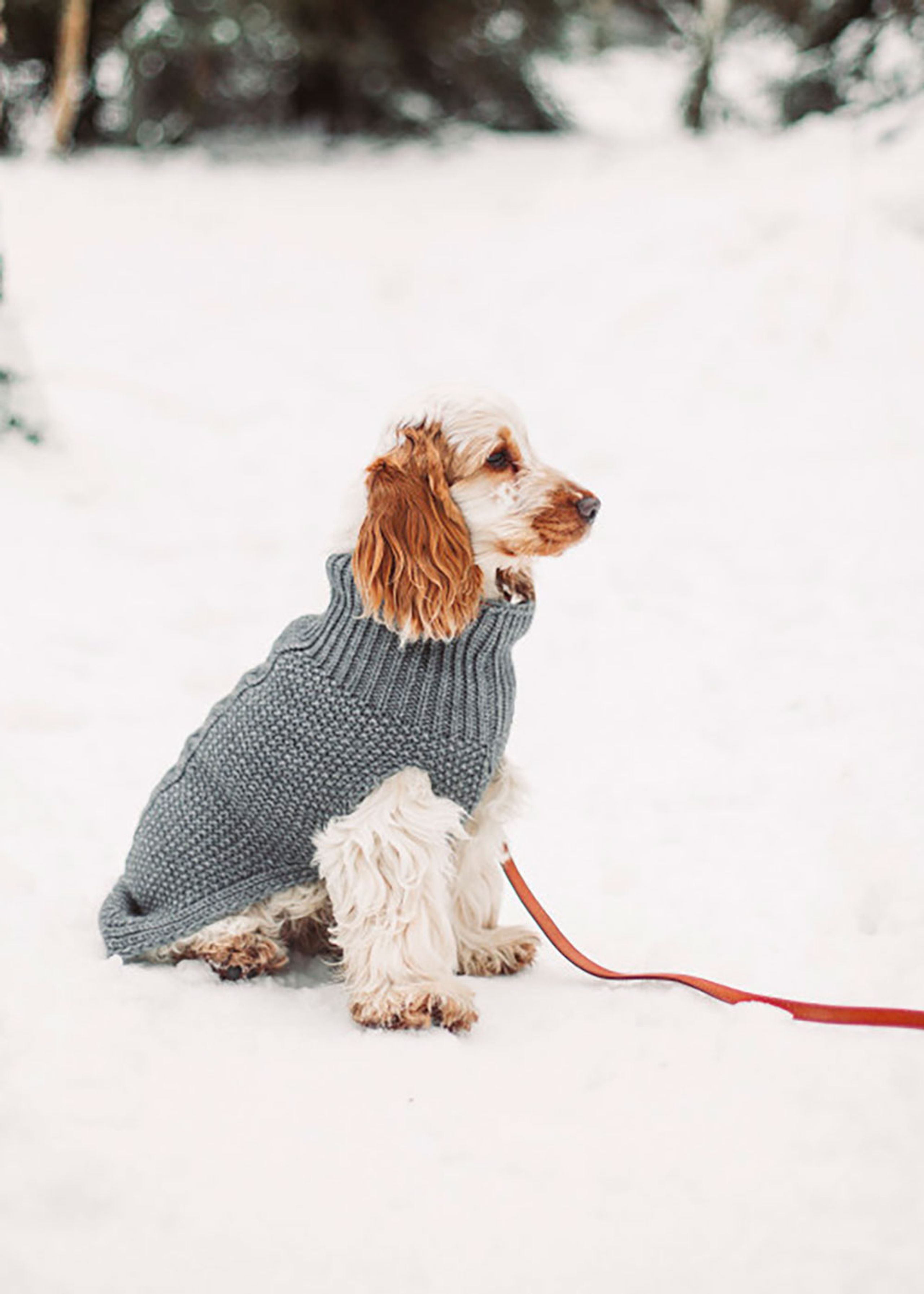 Cloud7 - Hondenkleding - Dog Sweater Oslo - Grey