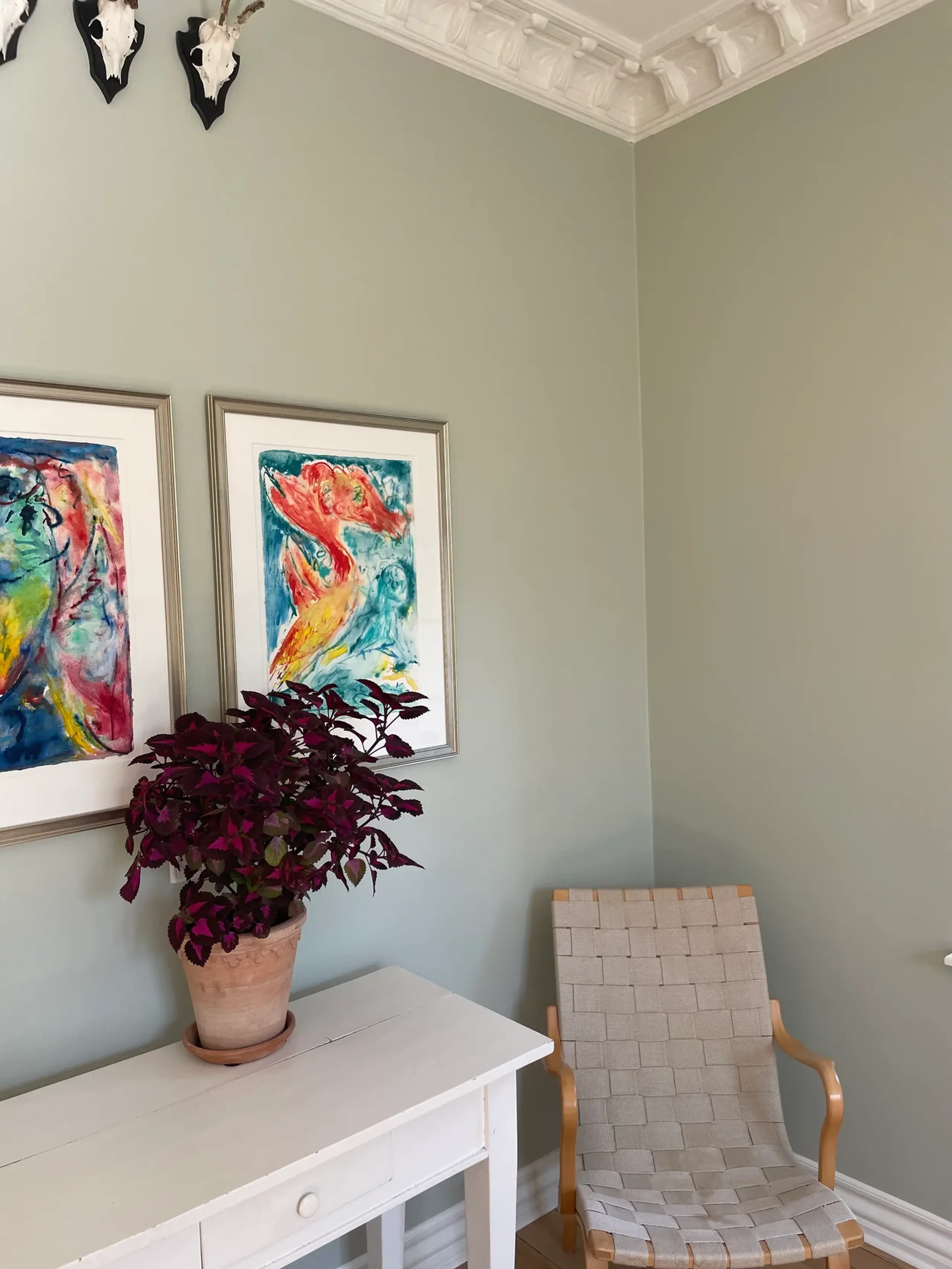 Color Stories - - Olivensand - OLIVENSAND