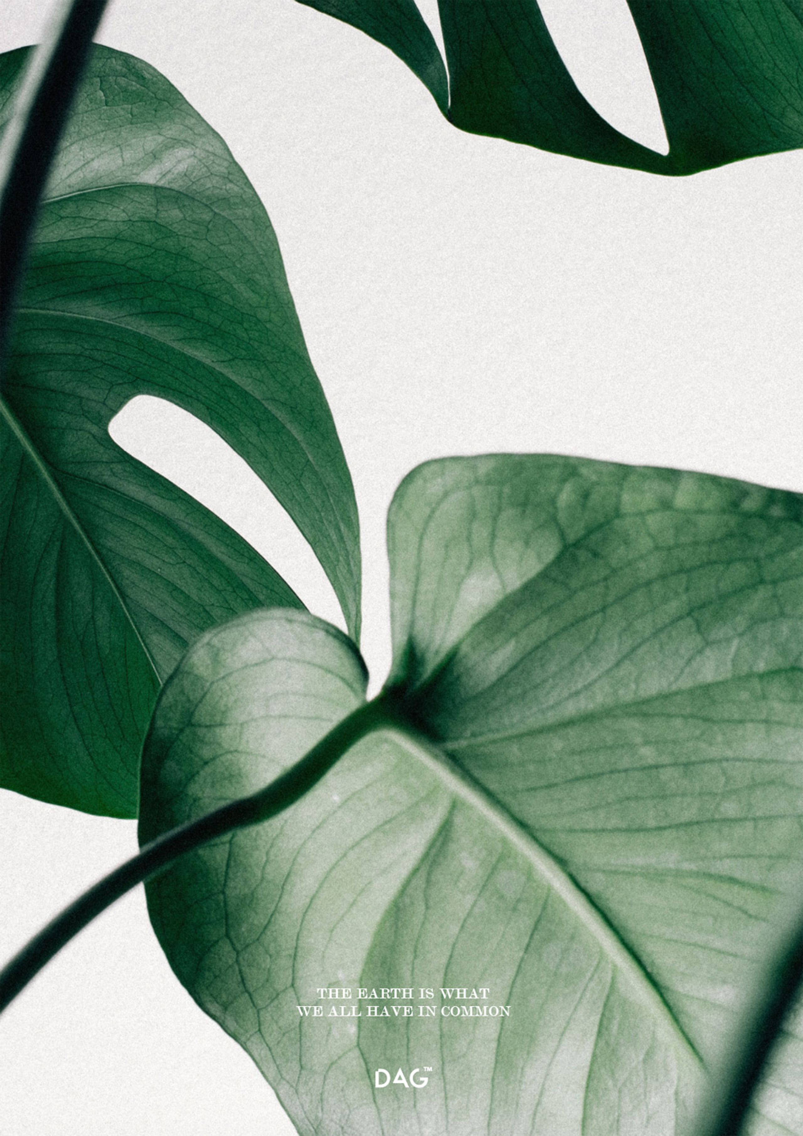 DAG - Poster - Earths words - The earth is what we all have in common