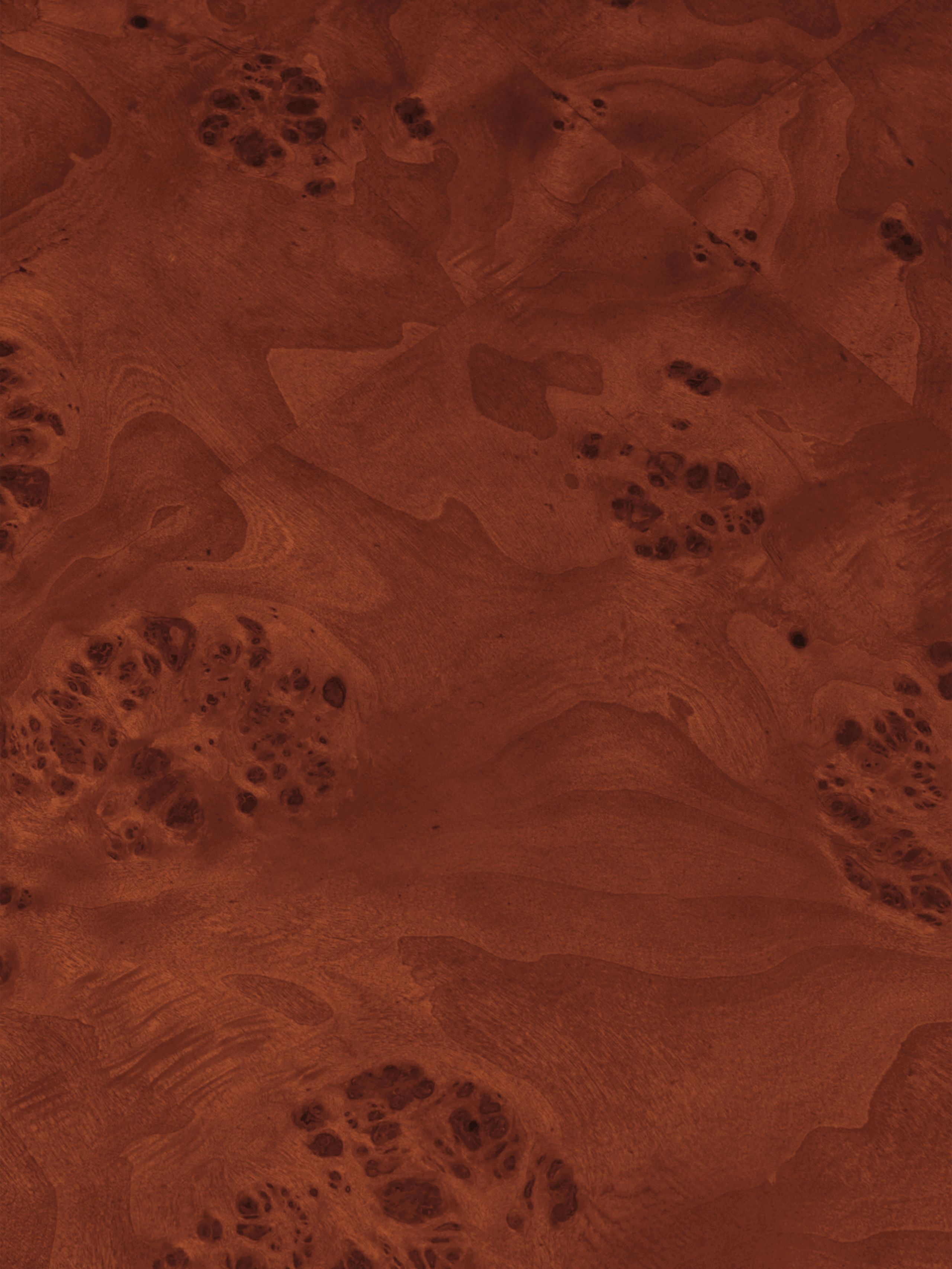 Ferm Living - Soffbord - Burl Storage Coffee Table - Dark Stained Burl