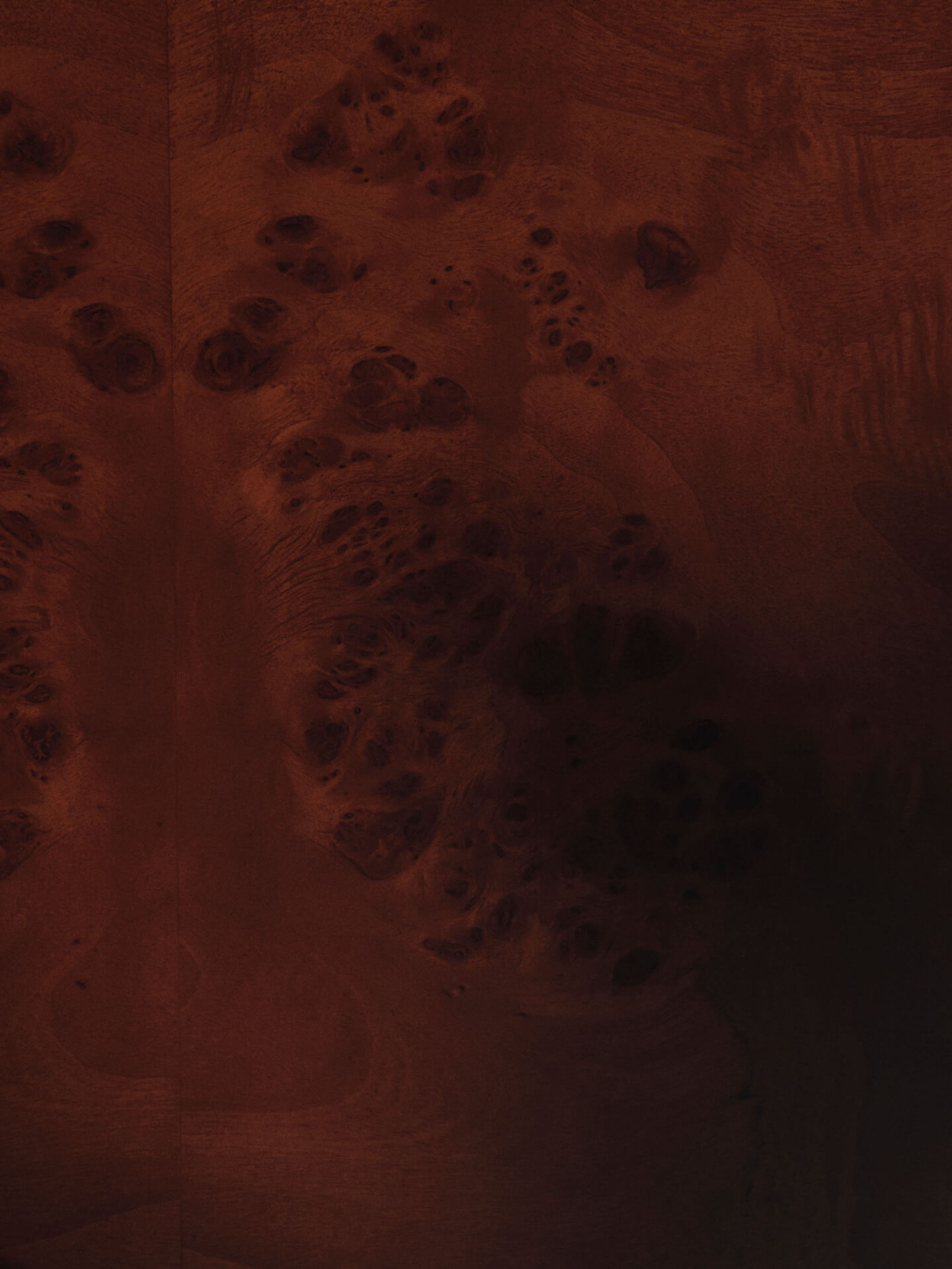 Ferm Living - Soffbord - Burl Storage Coffee Table - Dark Stained Burl