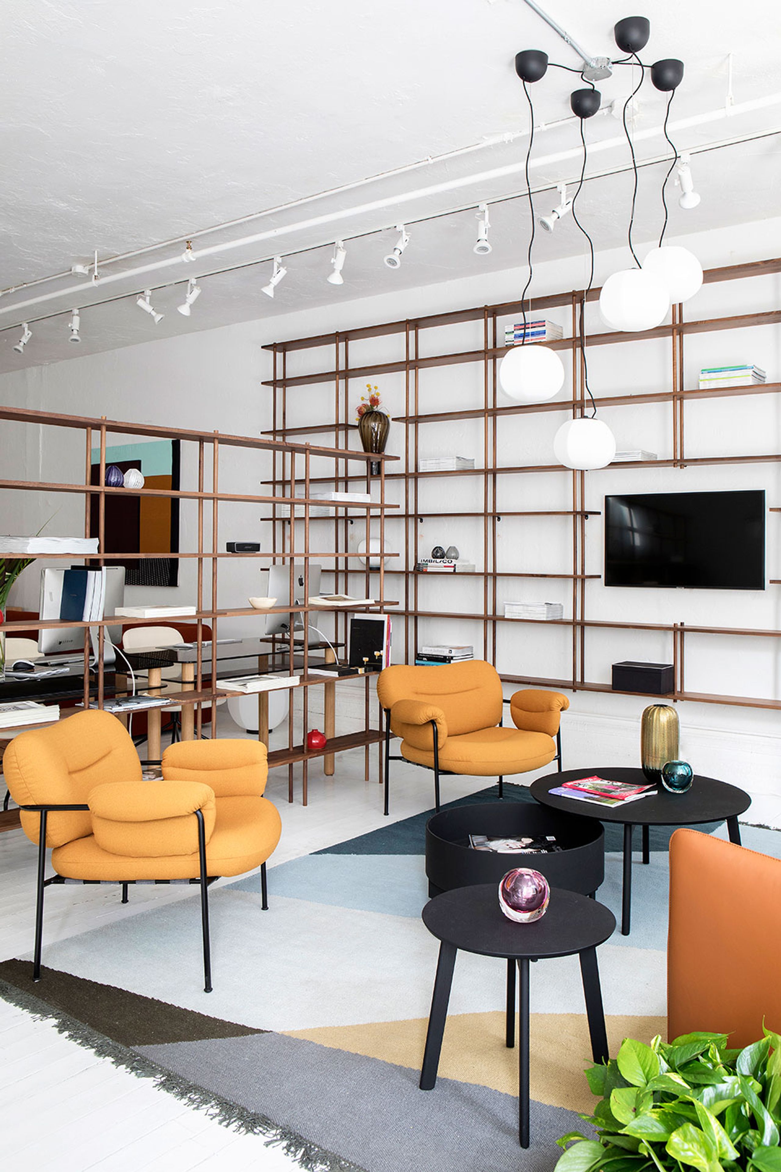 Fogia - Display - Bond Configuration / W103 - Lacquered Oak