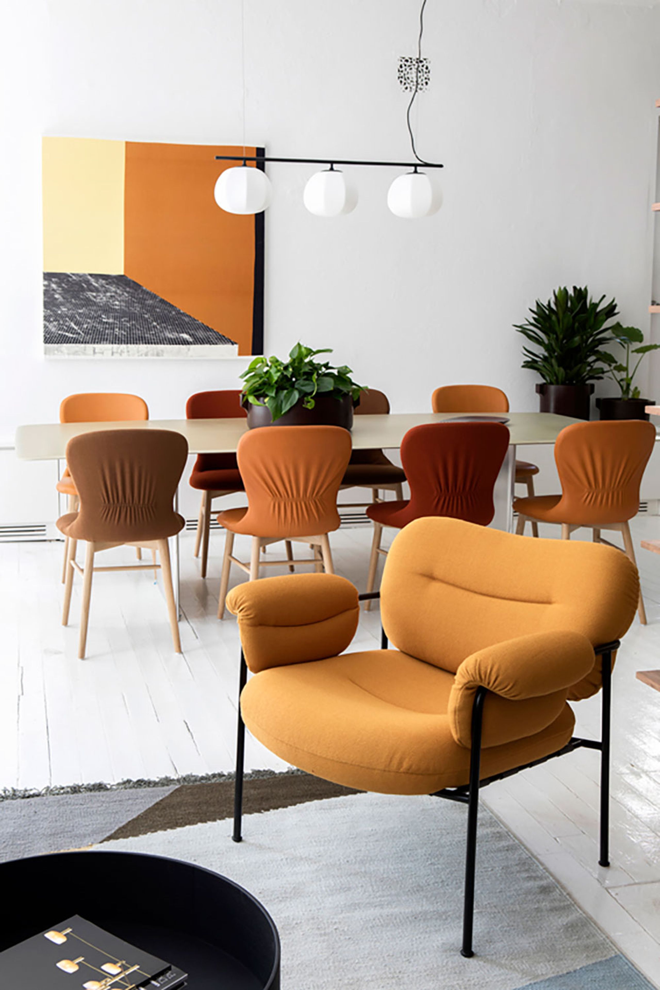 Fogia - Président - Myko - Shade Raw Siena