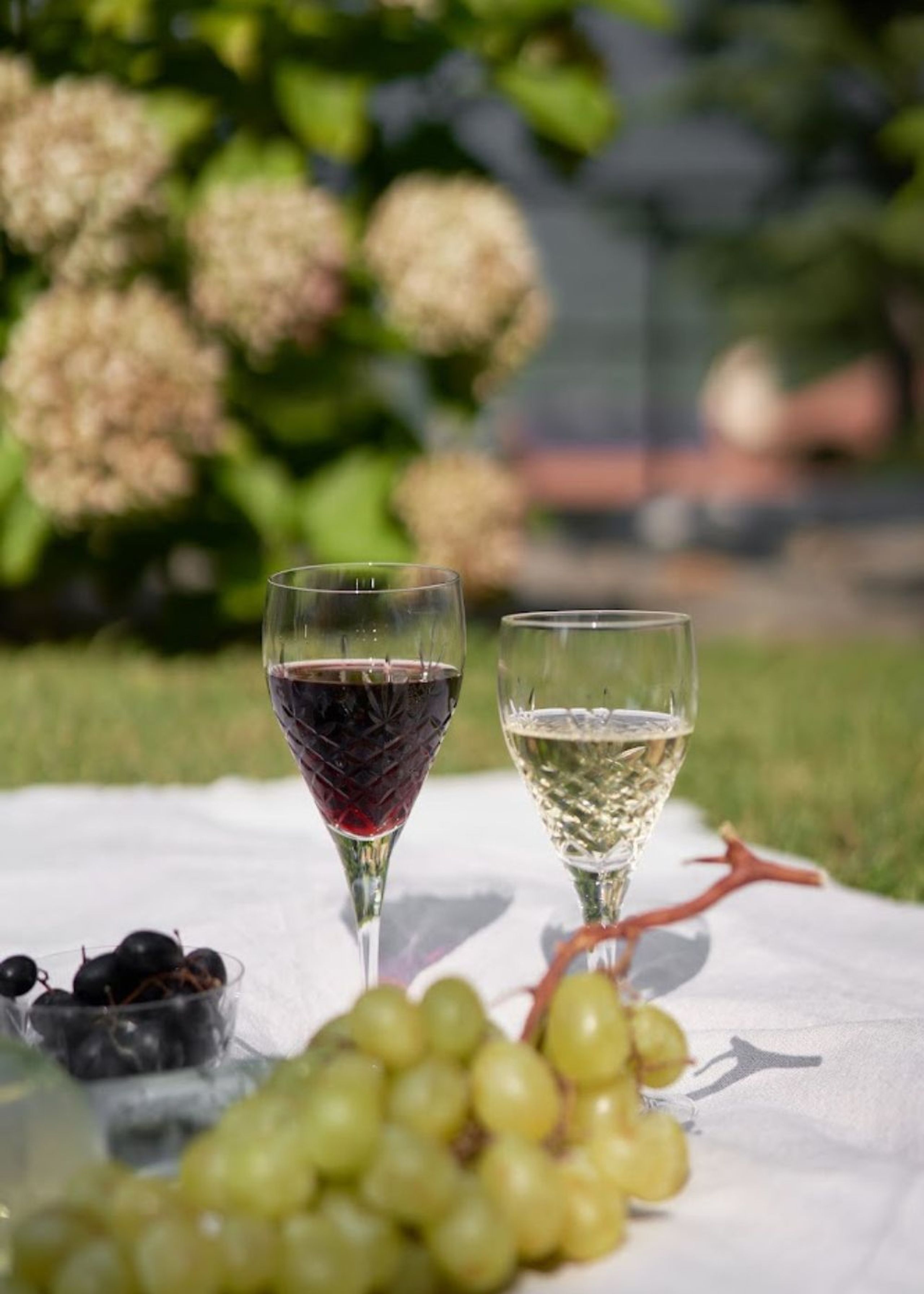 Frederik Bagger - Wine glass - Crispy Red - 2 pcs - Transparent