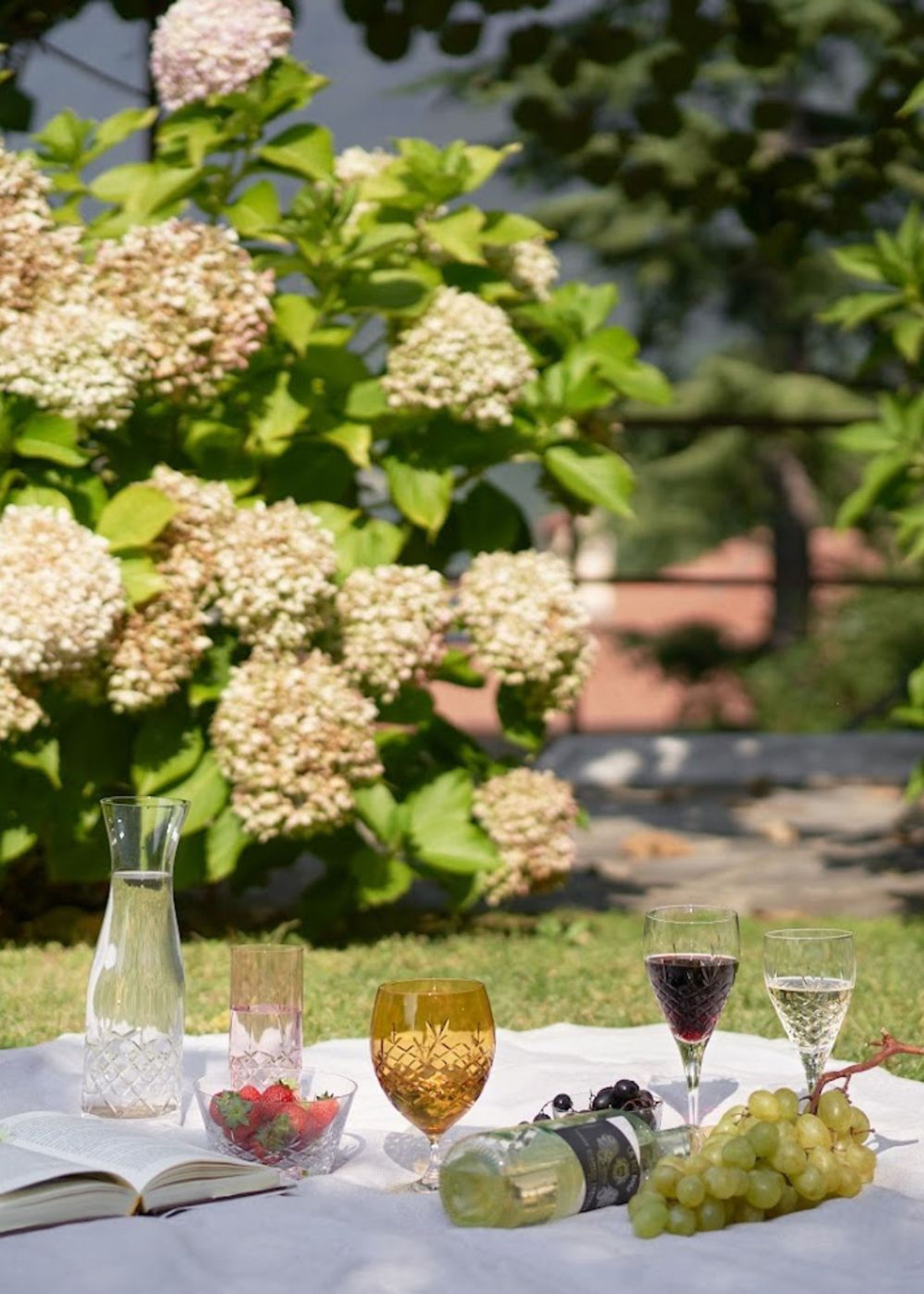 Frederik Bagger - Wine glass - Crispy Red - 2 pcs - Transparent