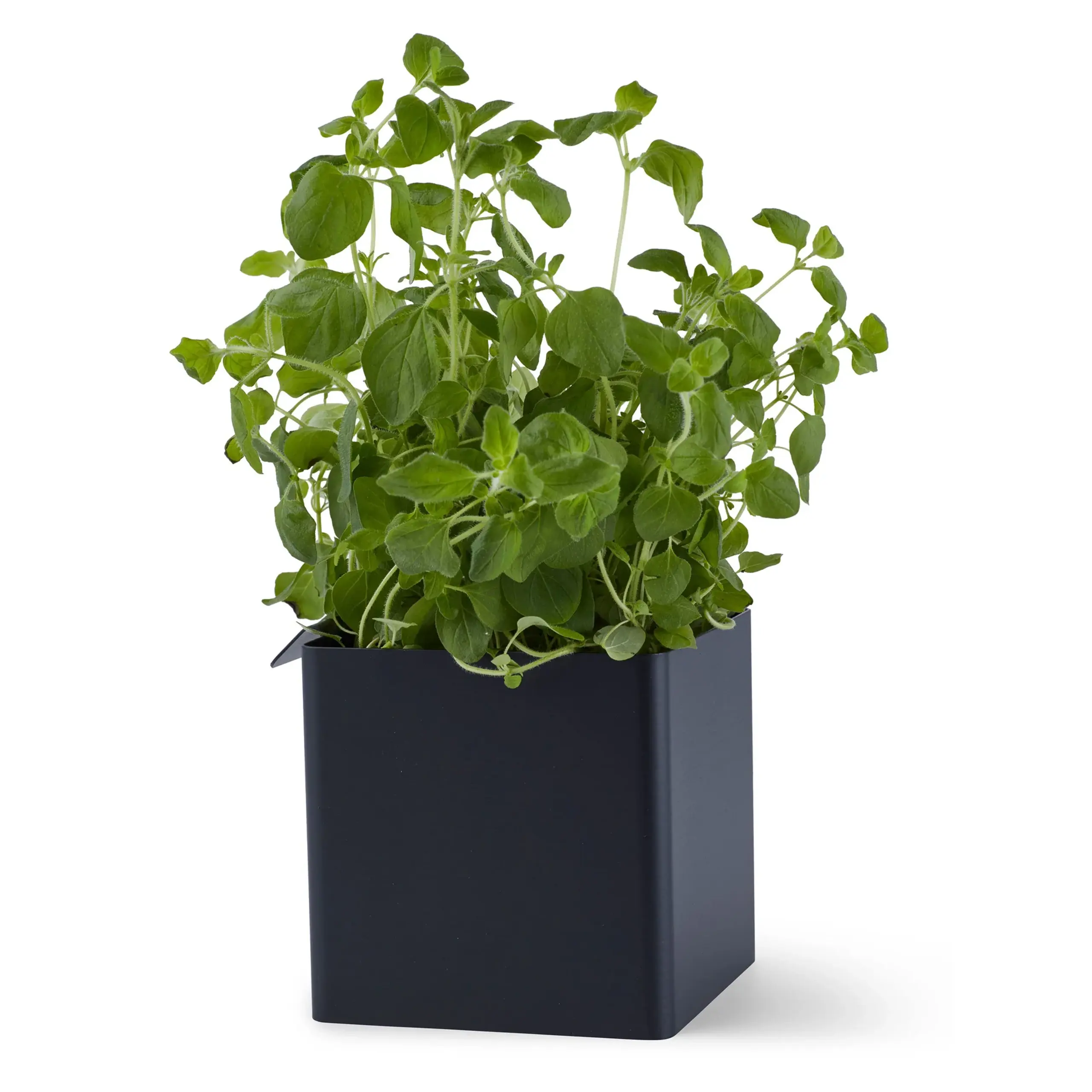 Gejst - Scatole - Flex Small Box - Black