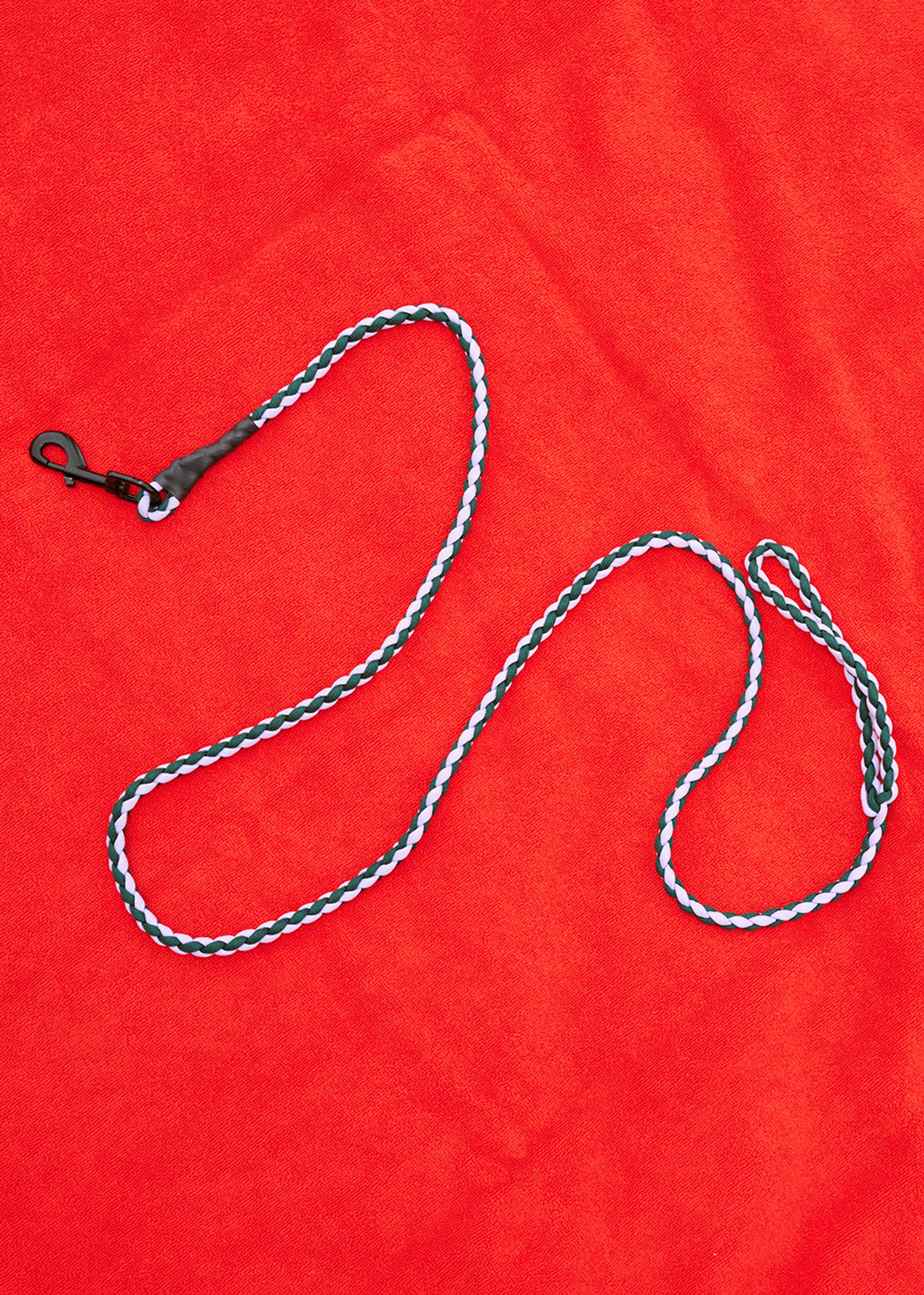 HAY - Harnais pour chien - Hay Dogs Leash - Lavender, green - Braided