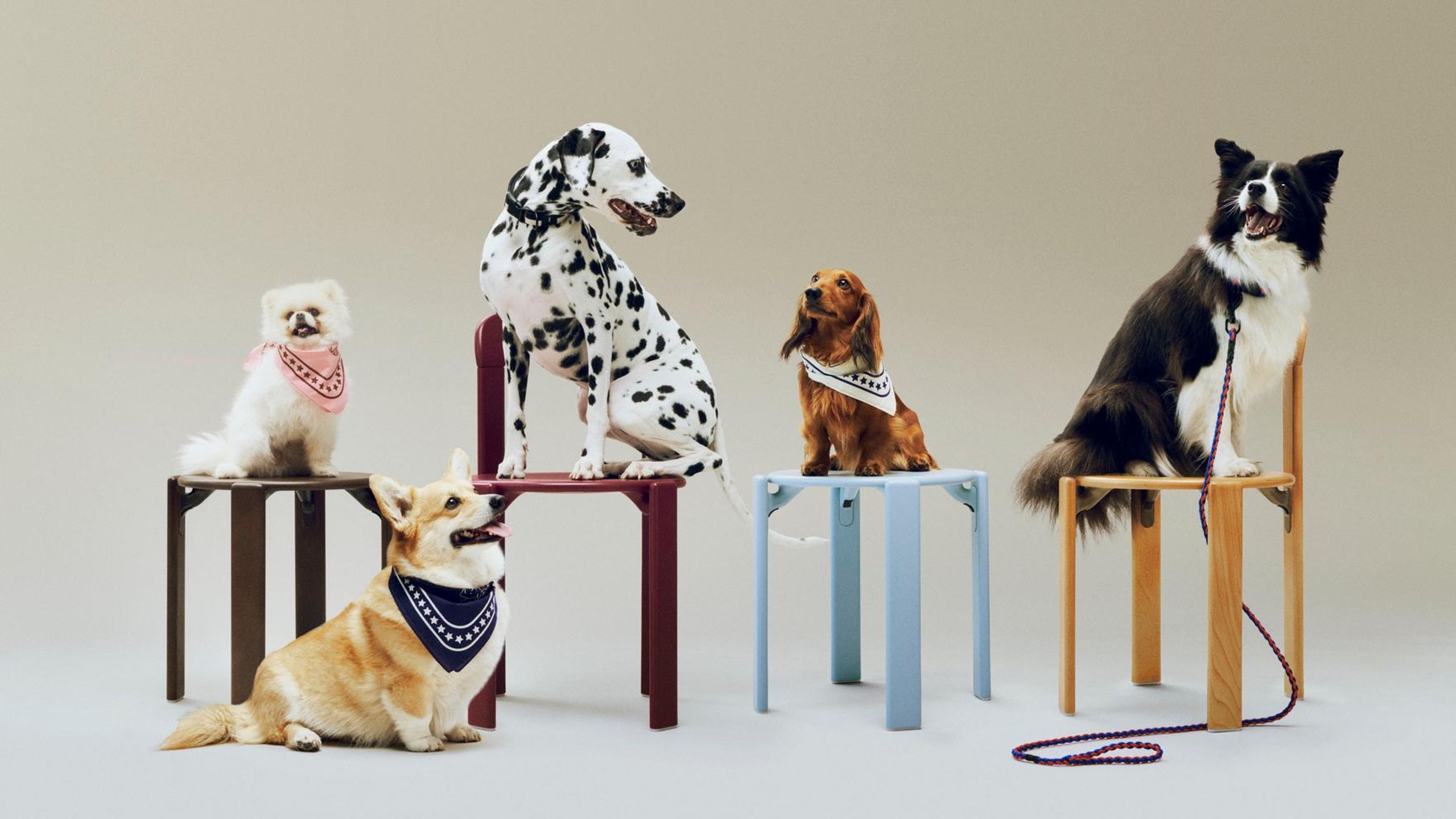 HAY - Abbigliamento per cani - HAY Dogs Scarf (Recycled) - Off-White with Red