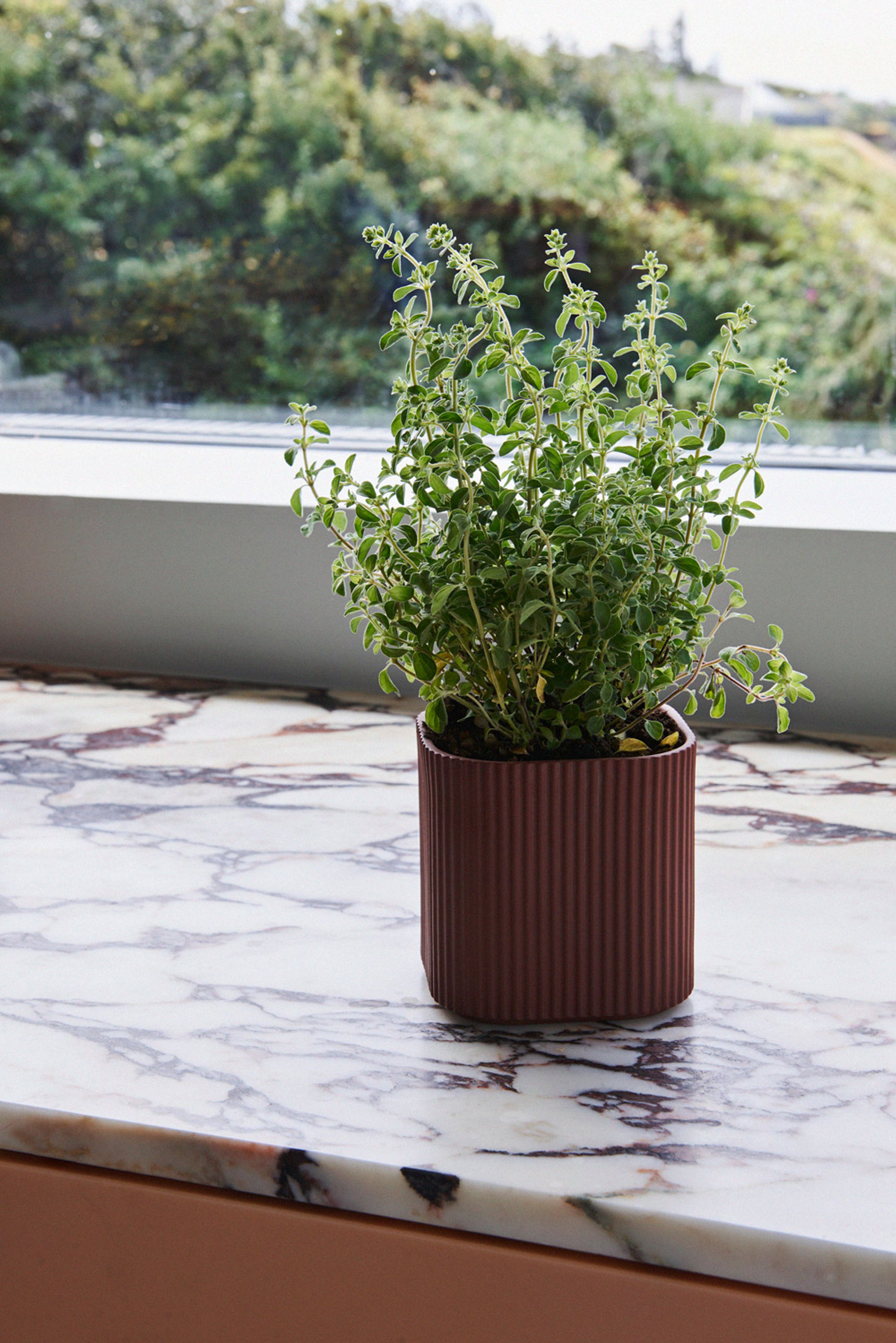HAY - Kruka - Facade - Herb Pot - Small
