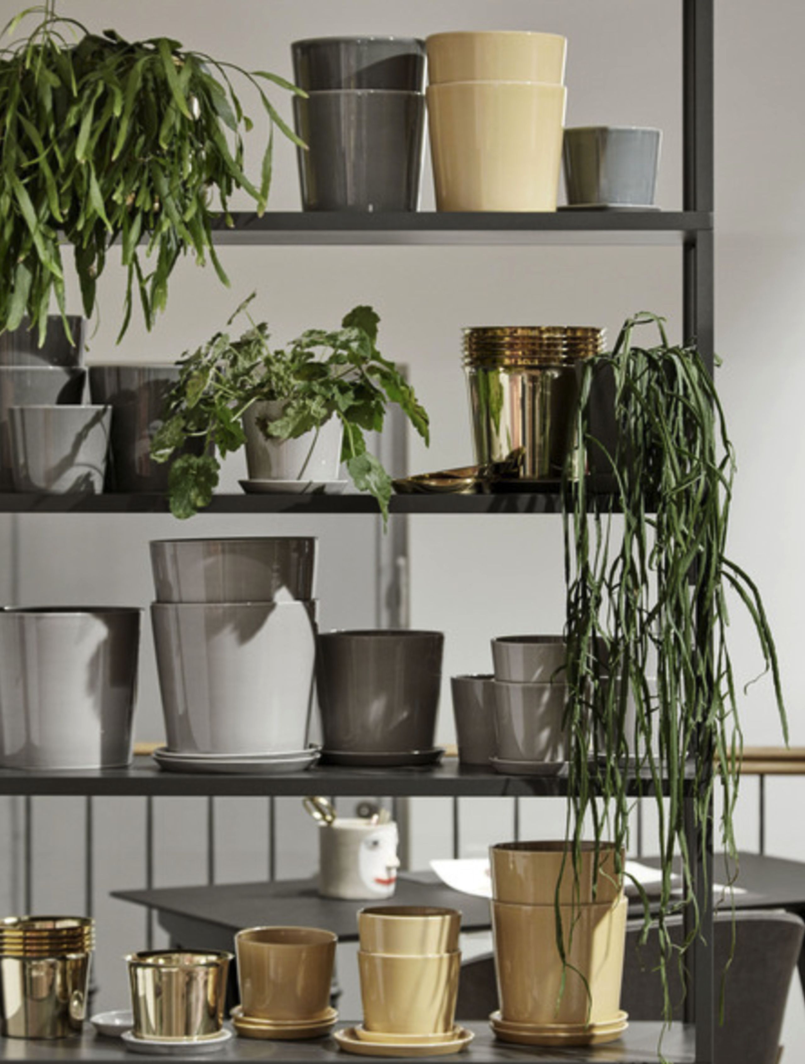 HAY - Flowerpot - Botanical Family - Dusty Green M