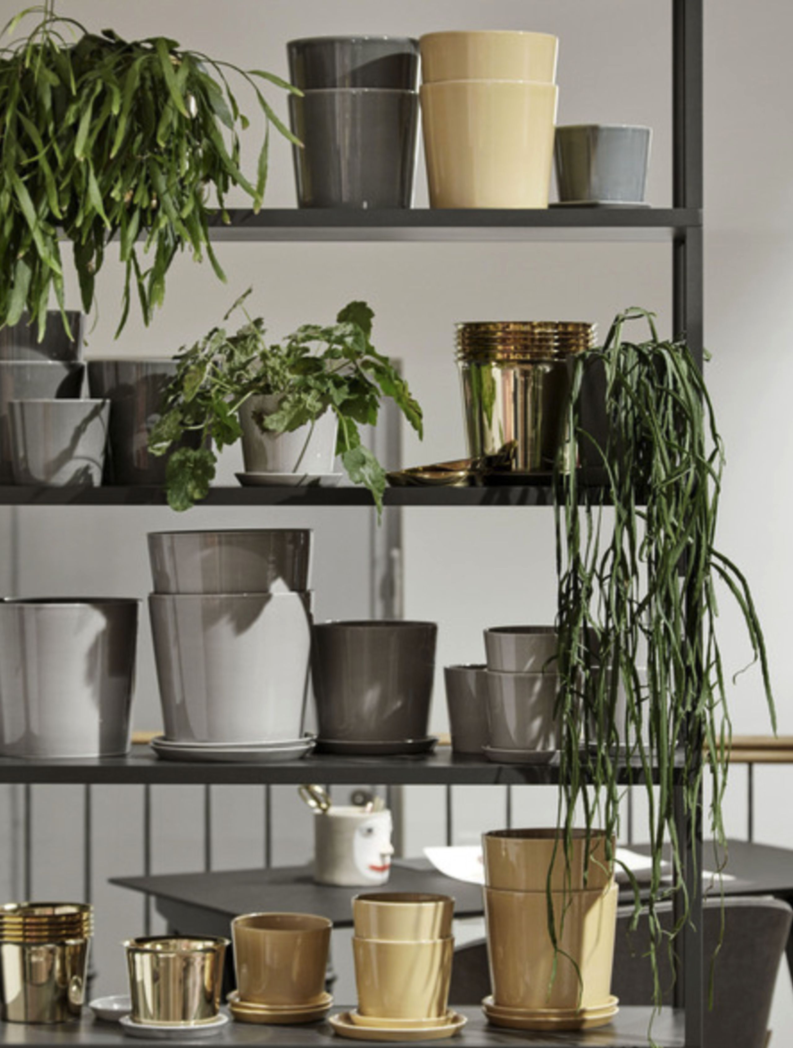 HAY - Flowerpot - Botanical Family - Dusty Green XL