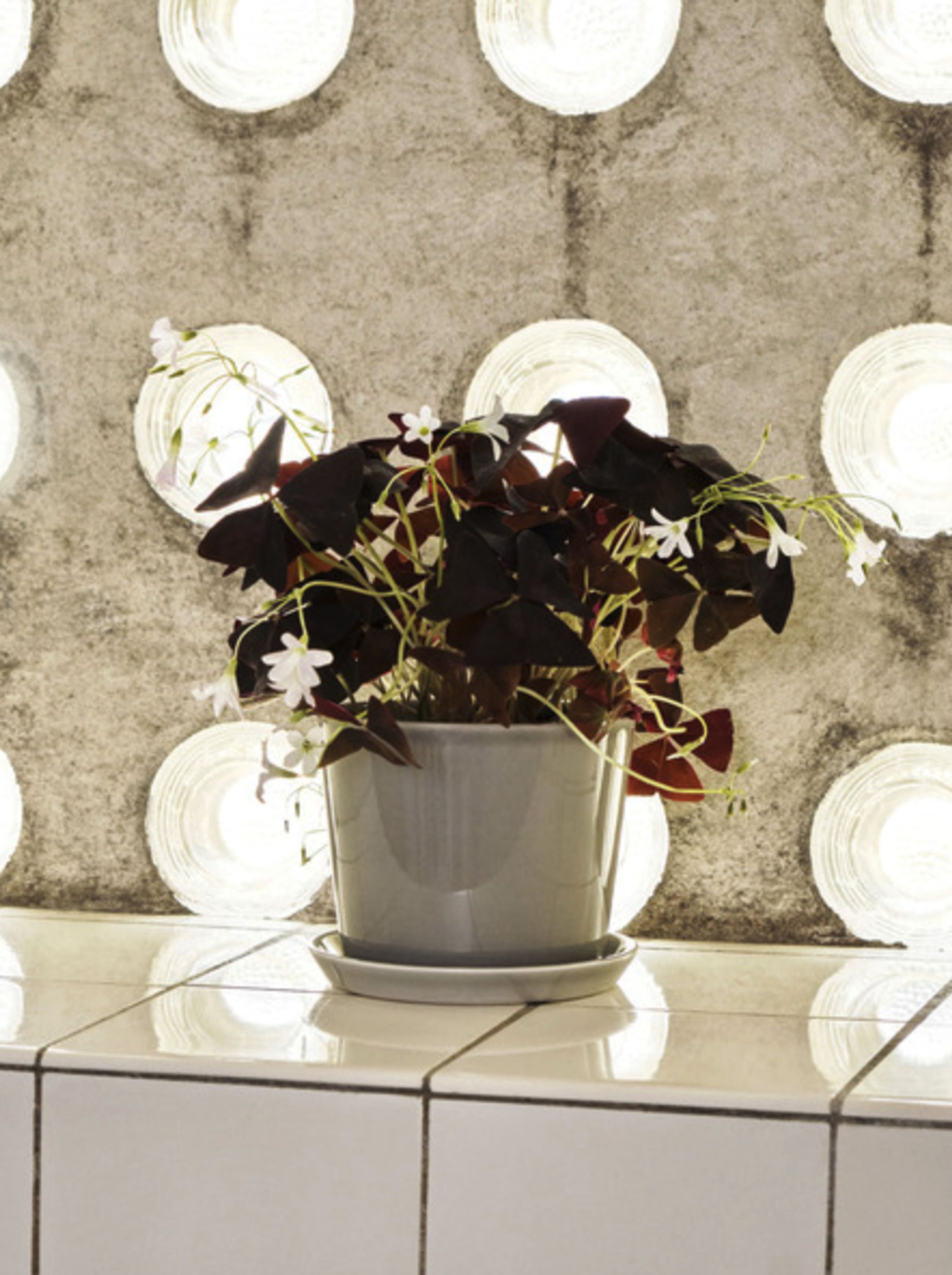 HAY - Pot de fleurs - Botanical Family - Light Grey XL