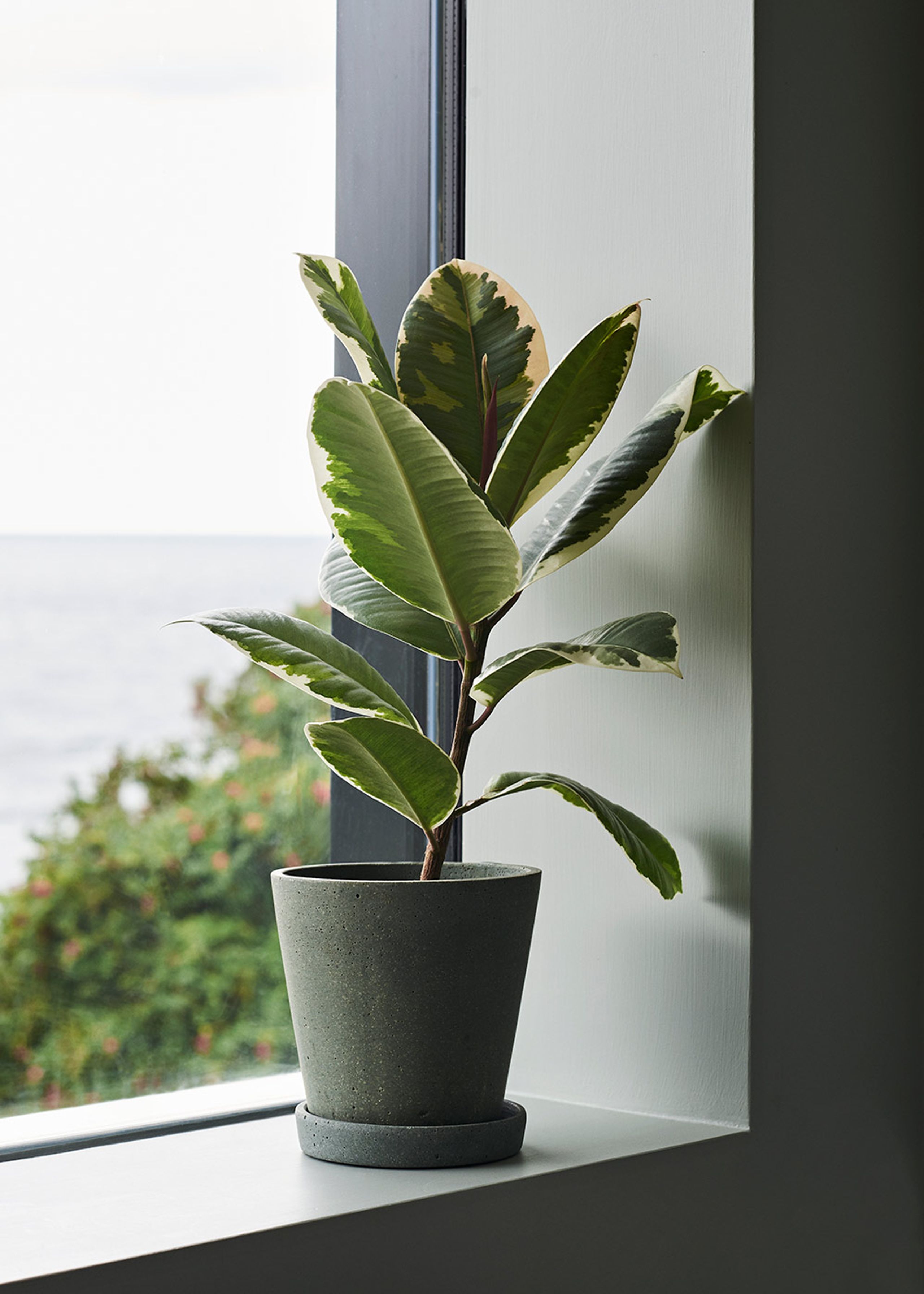 HAY - Urtepotte - Flowerpot with saucer - Terrakotta - M