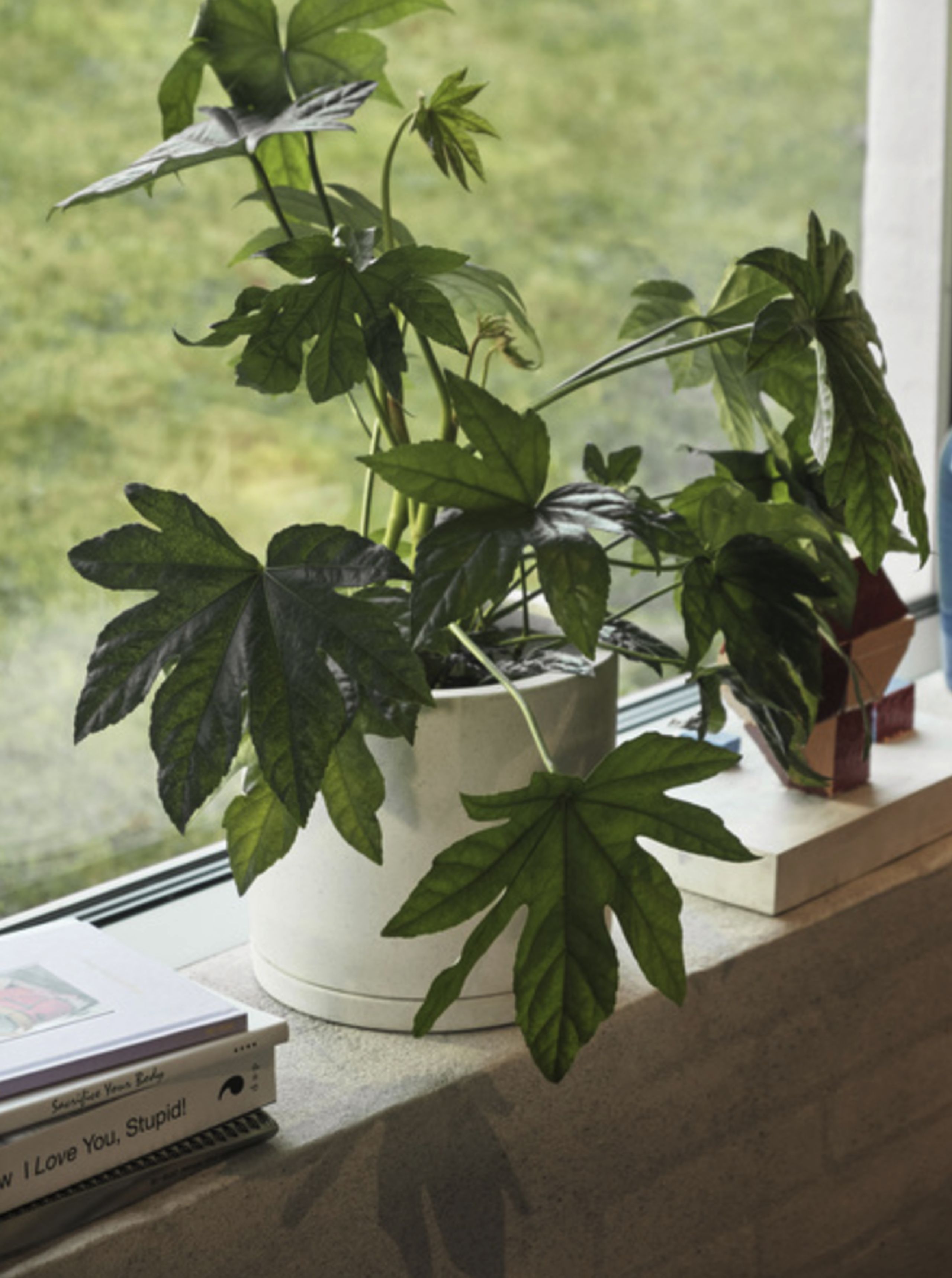 HAY - Flowerpot - Plant Pot with Saucer - White L