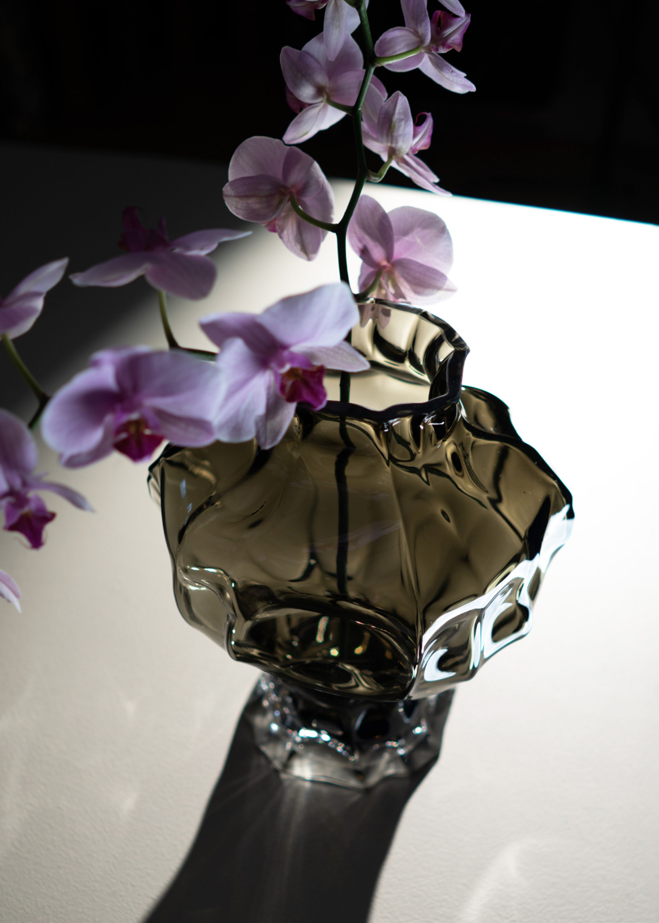 Hein Studio - Vase - Ammonit Large - New Smoke