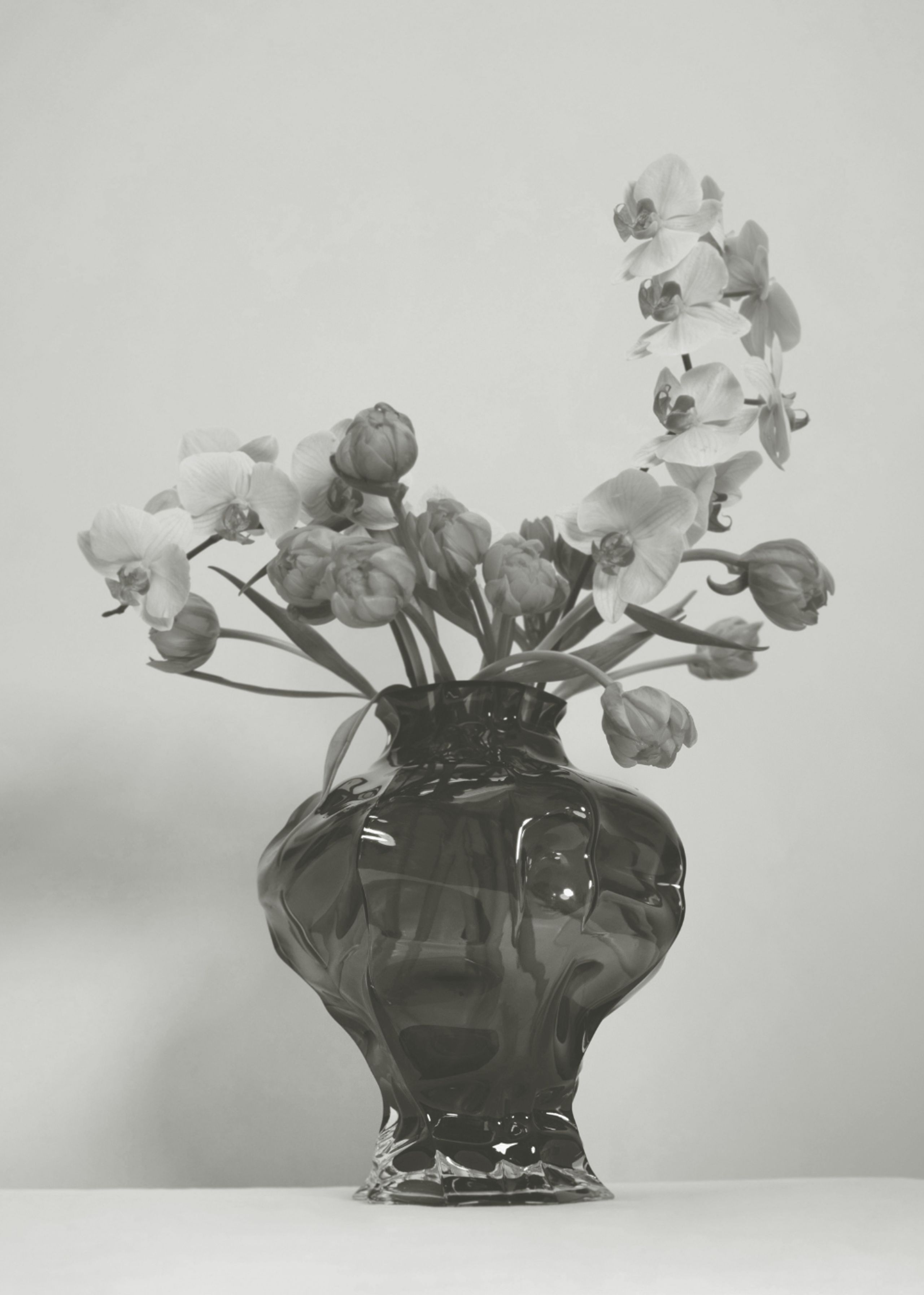 Hein Studio - Vase - Ammonit Large - New Smoke