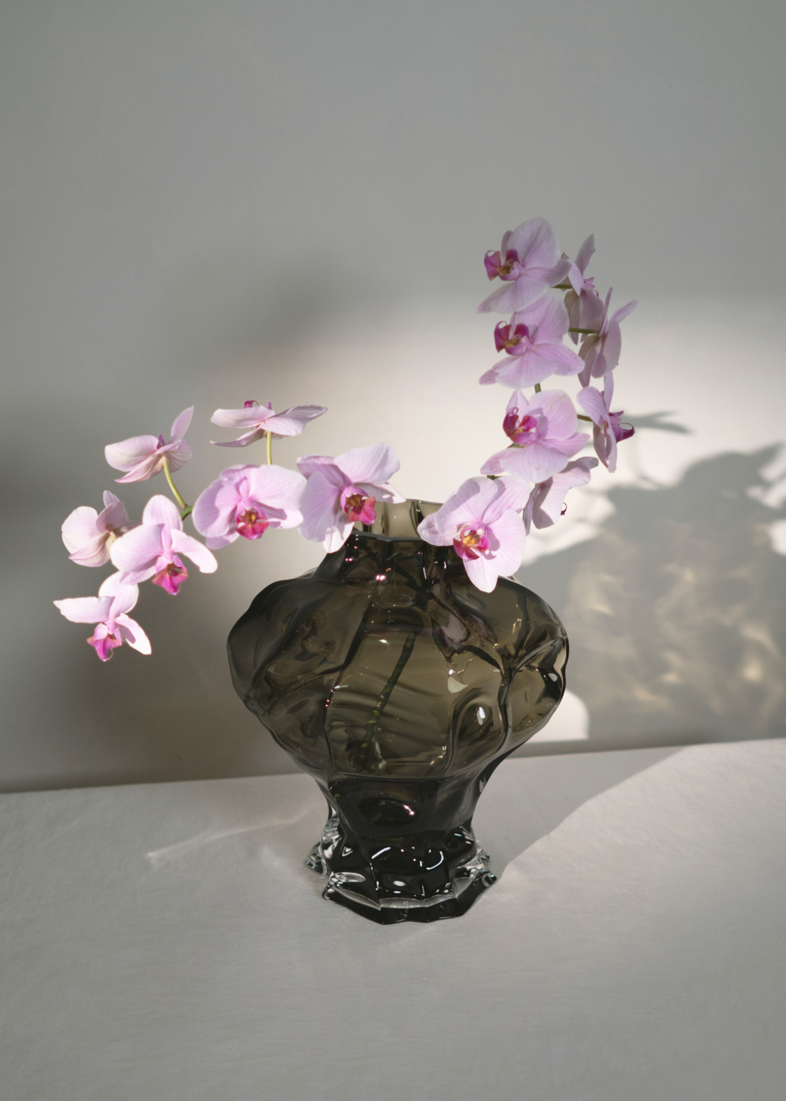 Hein Studio - Vase - Ammonit Large - New Smoke