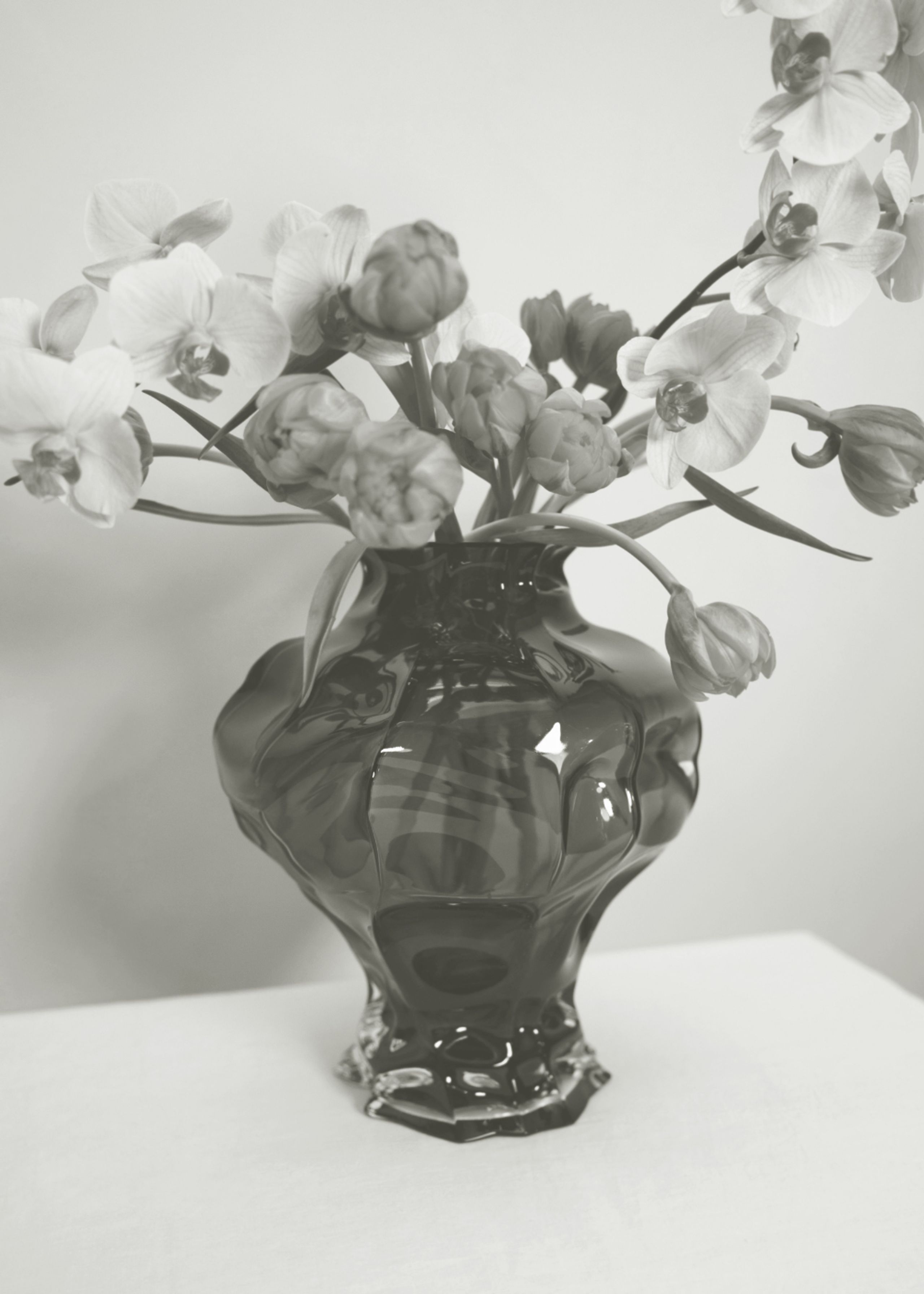 Hein Studio - Vase - Ammonit Large - New Smoke