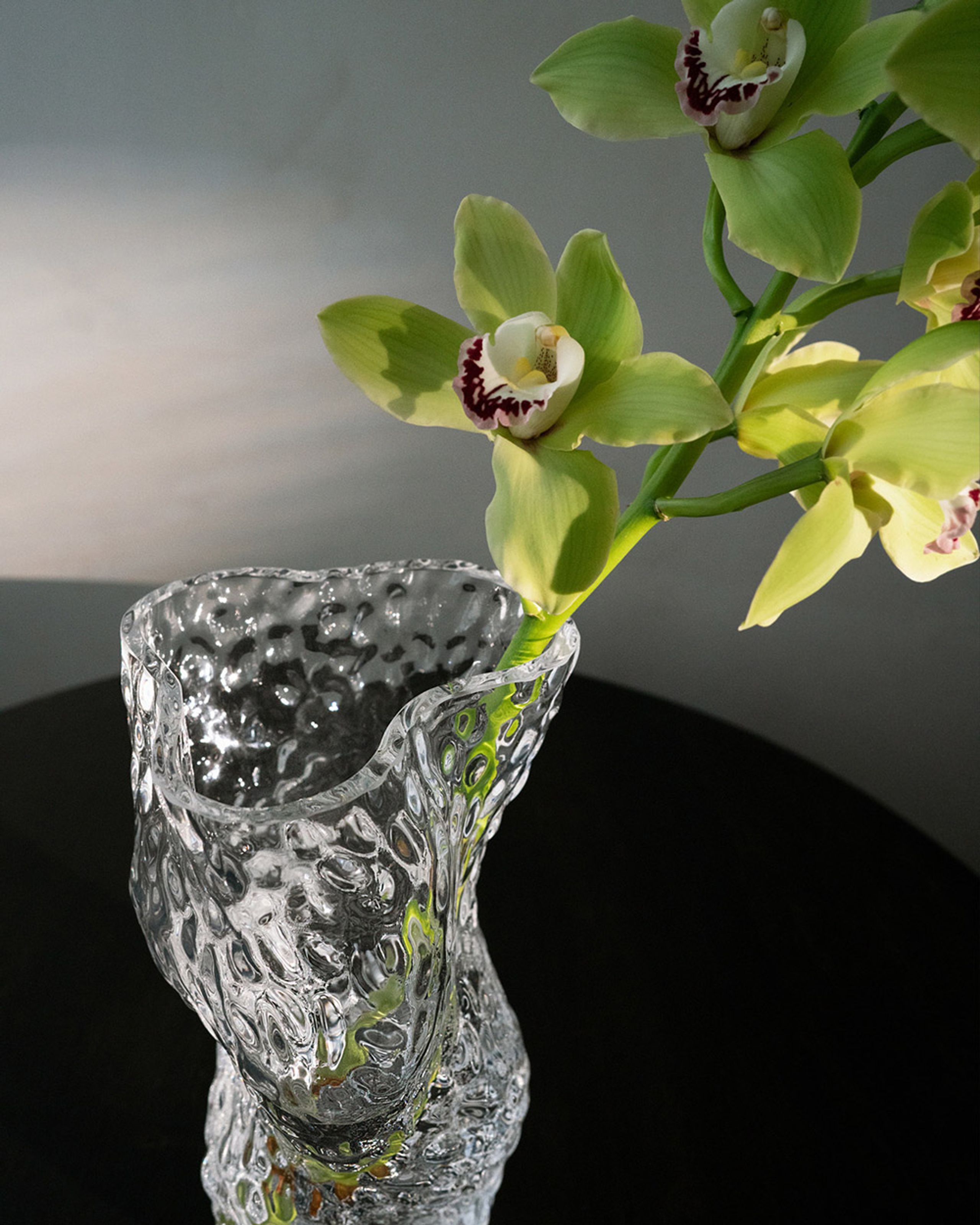 Hein Studio - Vase - Ostrea Rock Glass Vase - Clear