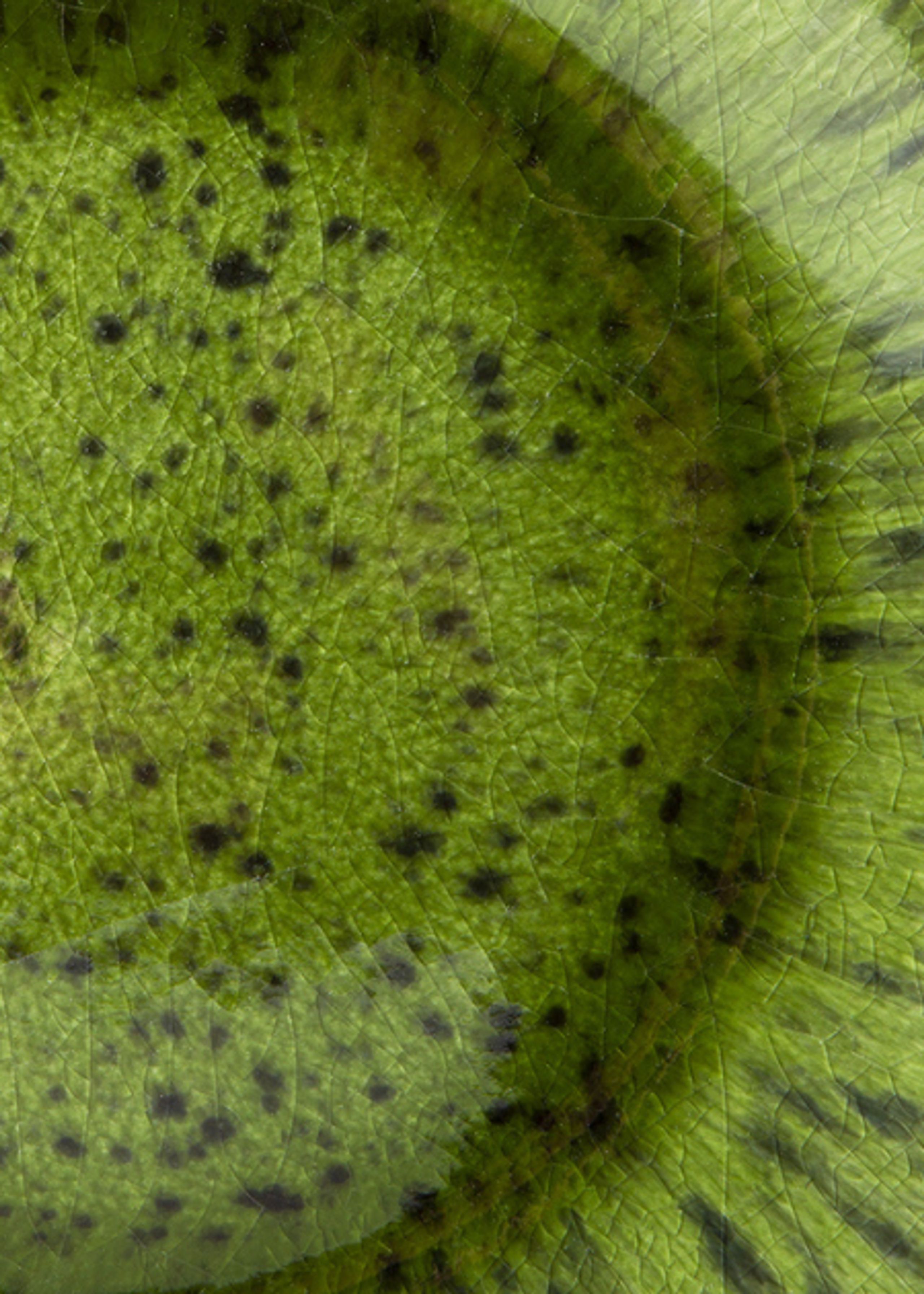 HK Living - Teller - The Emeralds Ceramic Dinner Plate - Green - Spotted