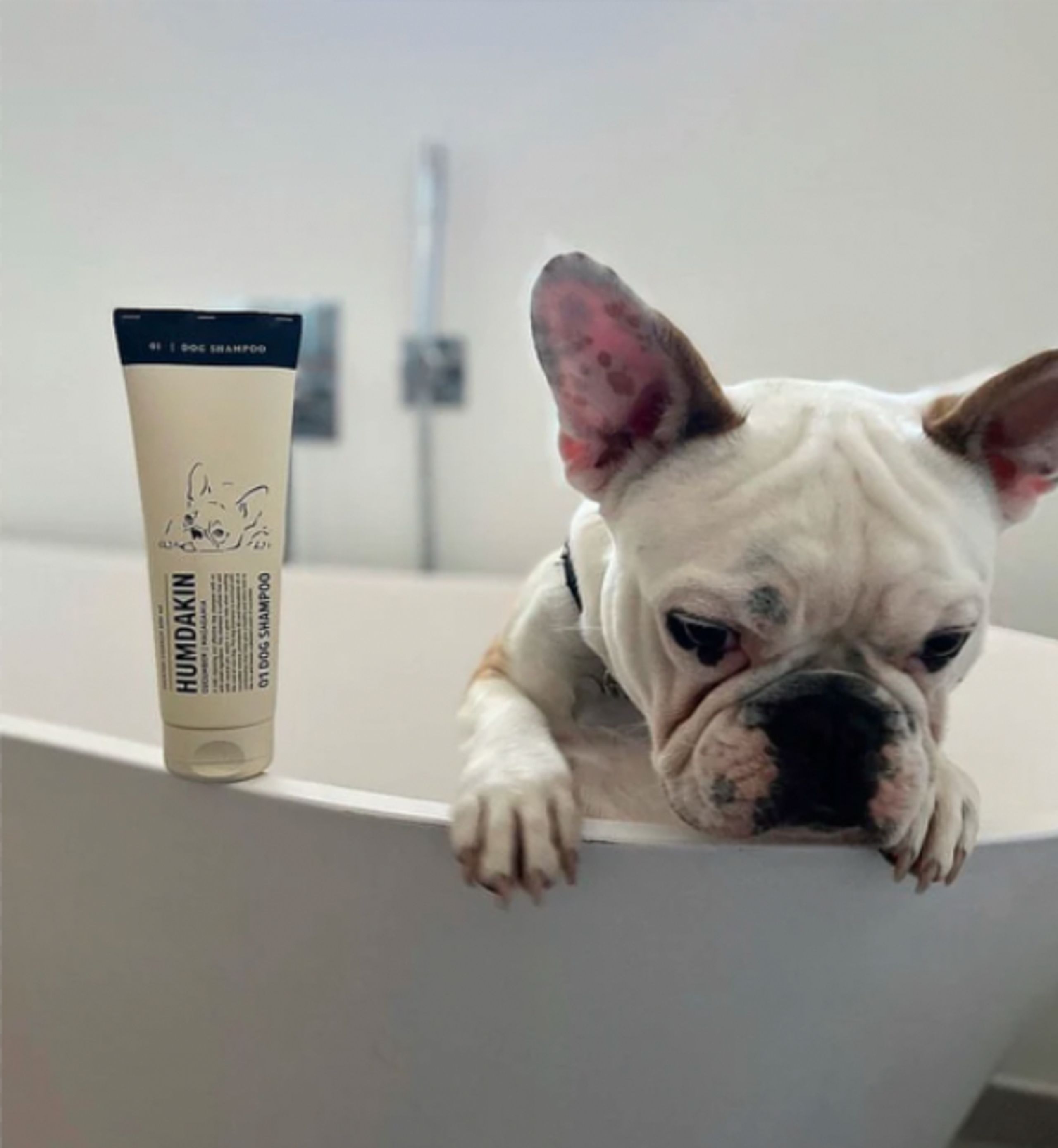 Humdakin - Champú para perros - Dog Shampoo - Cucumber and Macadamia