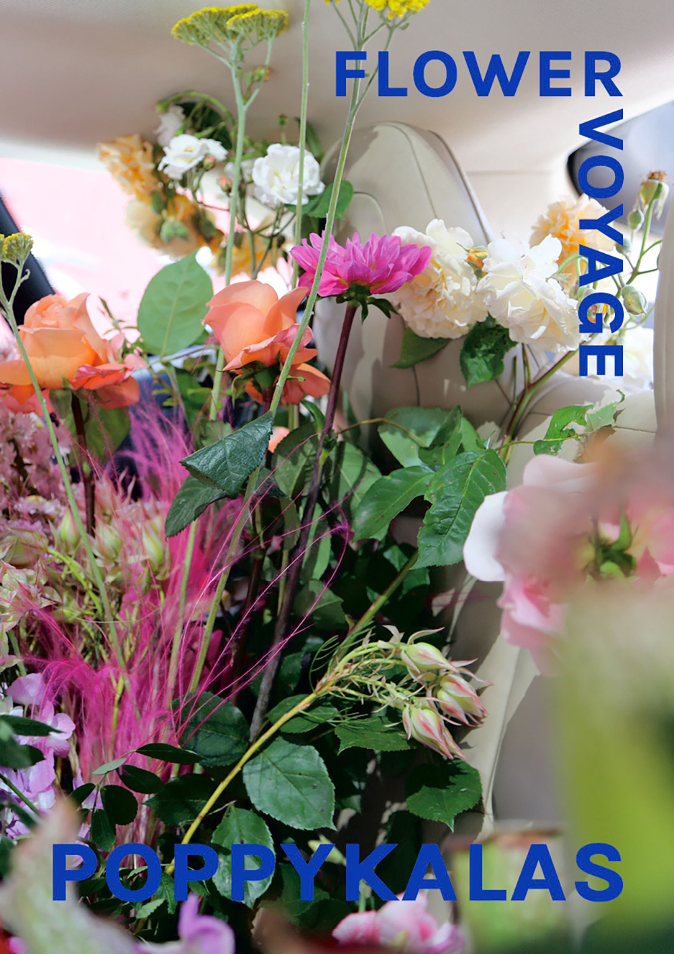 If Walls Could Talk - Poster - POPPYKALAS BY MARIE MY - Flower Voyage 02