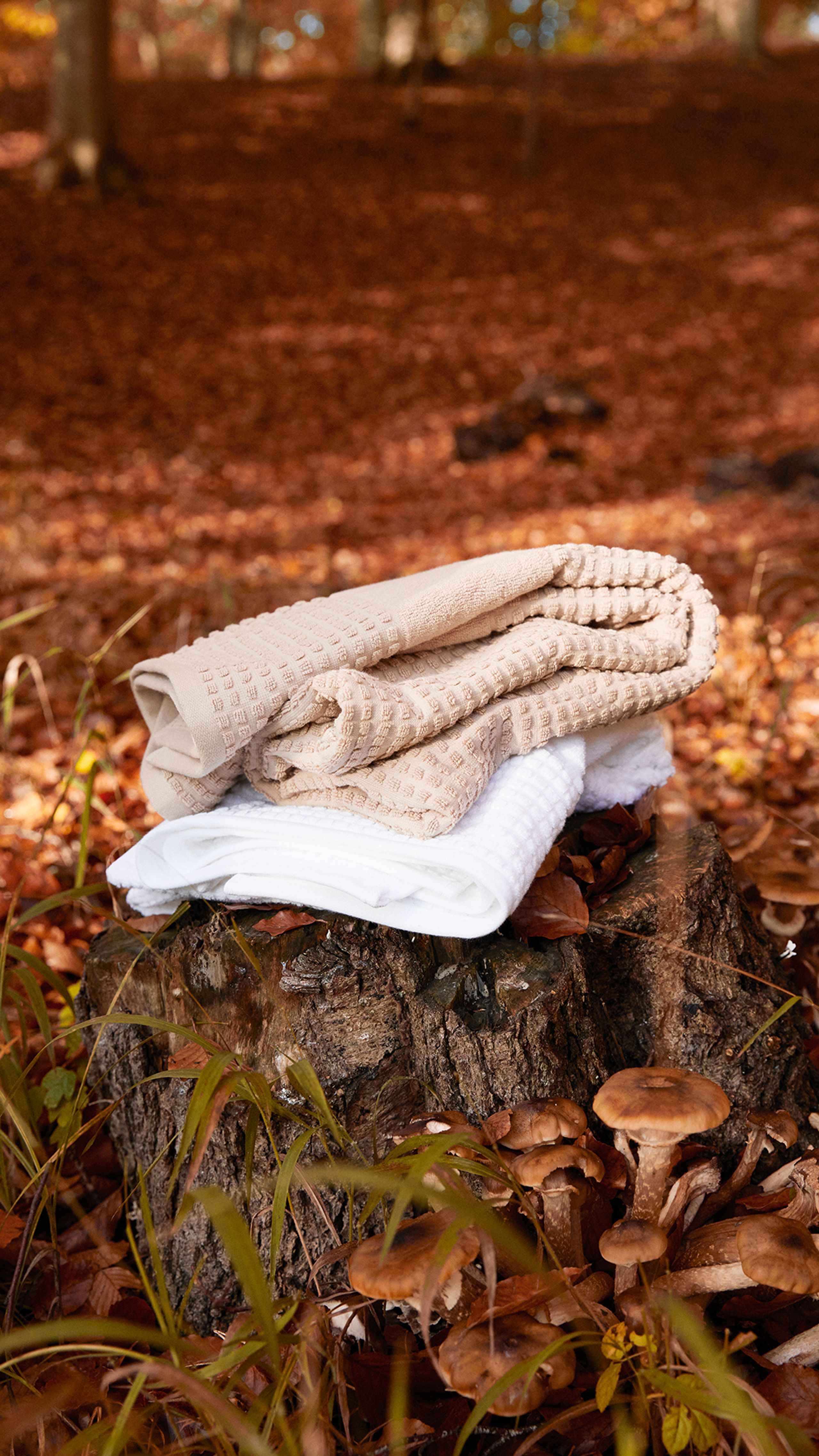 JUNA - Serviette de toilette - Check Towel - White - Large