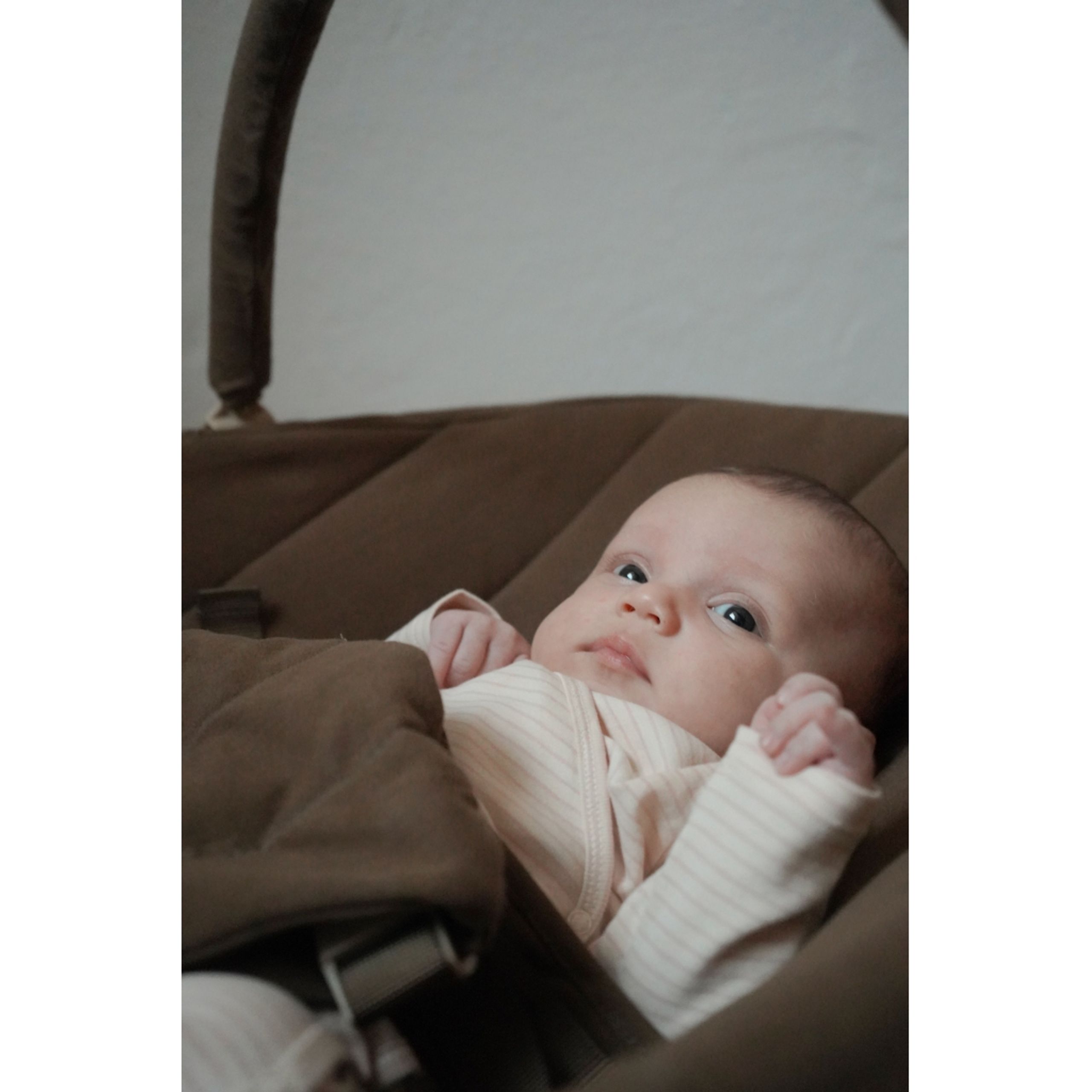 Konges Sløjd - - Leo baby skråstol - WALNUT