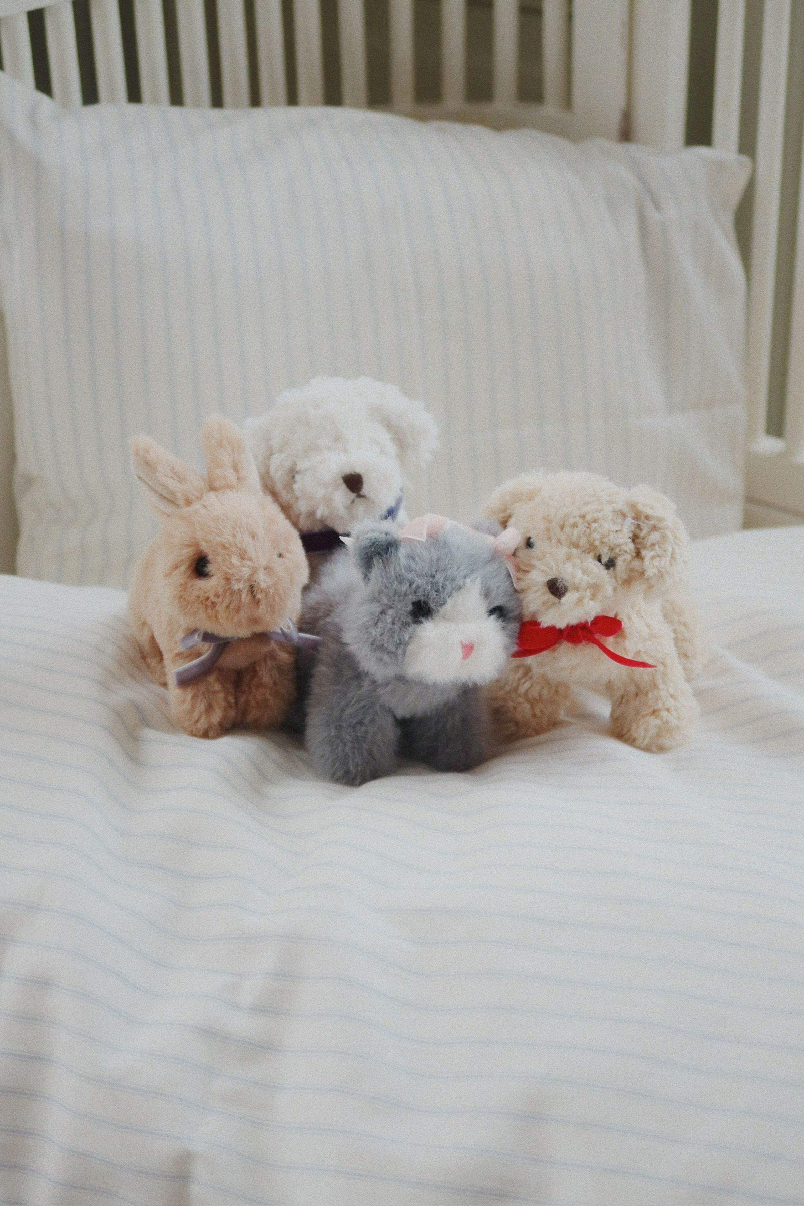 Konges Sløjd - Pool - Baby Animals - WHITE DOG