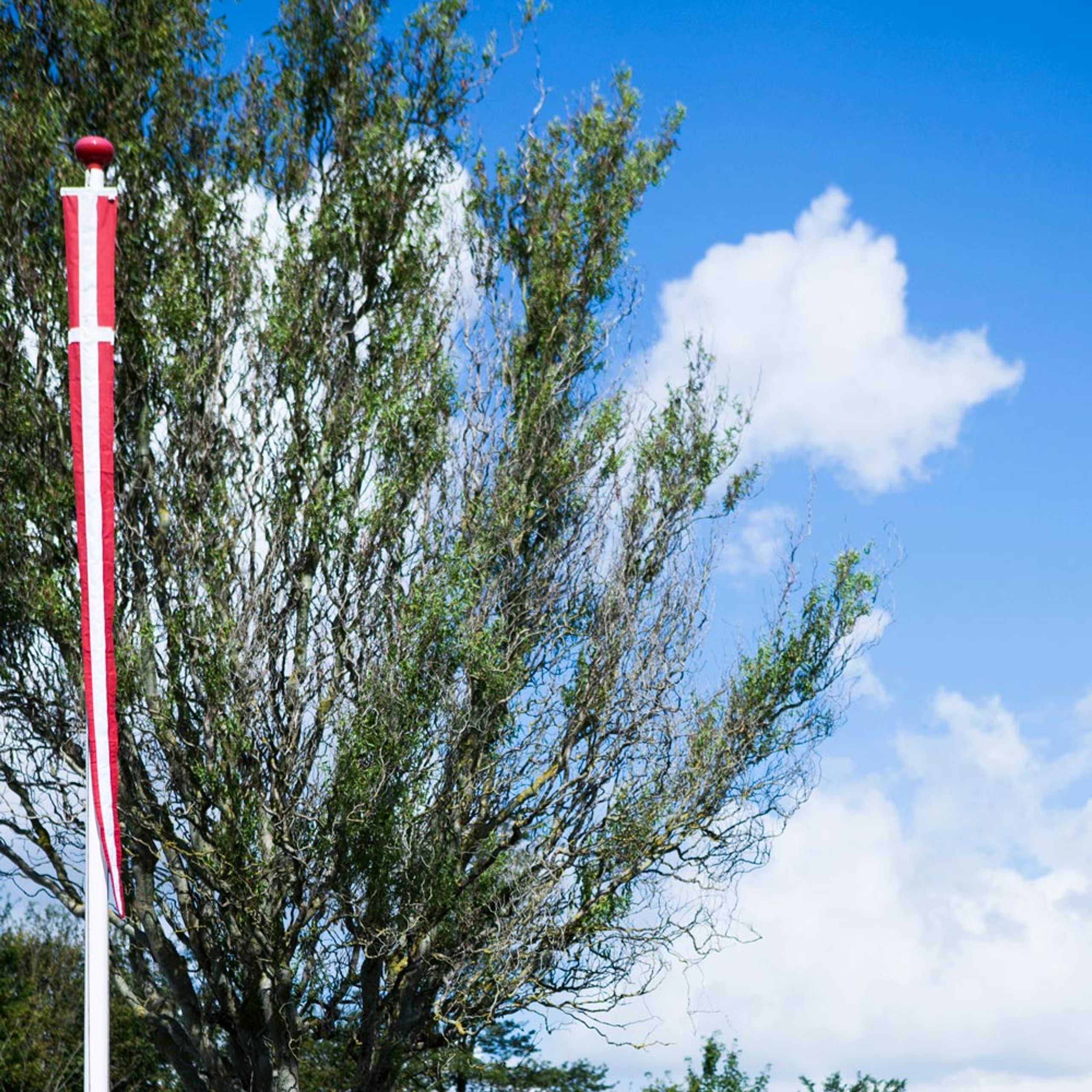 Langkilde & Søn - Flag - Knudefri Vimpel - Dannebrog