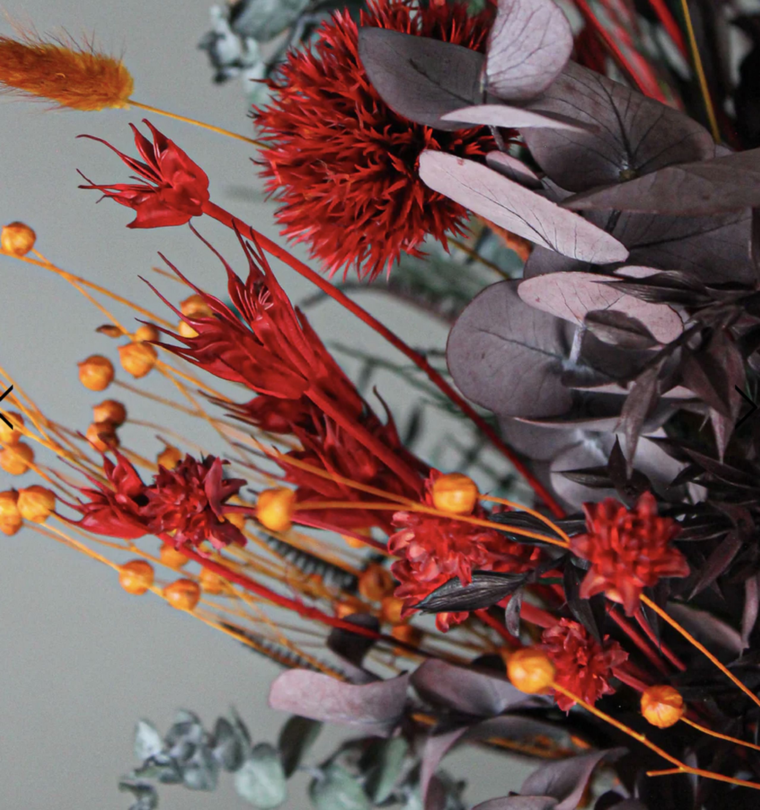 Living Flowers - Dried Flowers - Fresh dried flowers - Flammehav