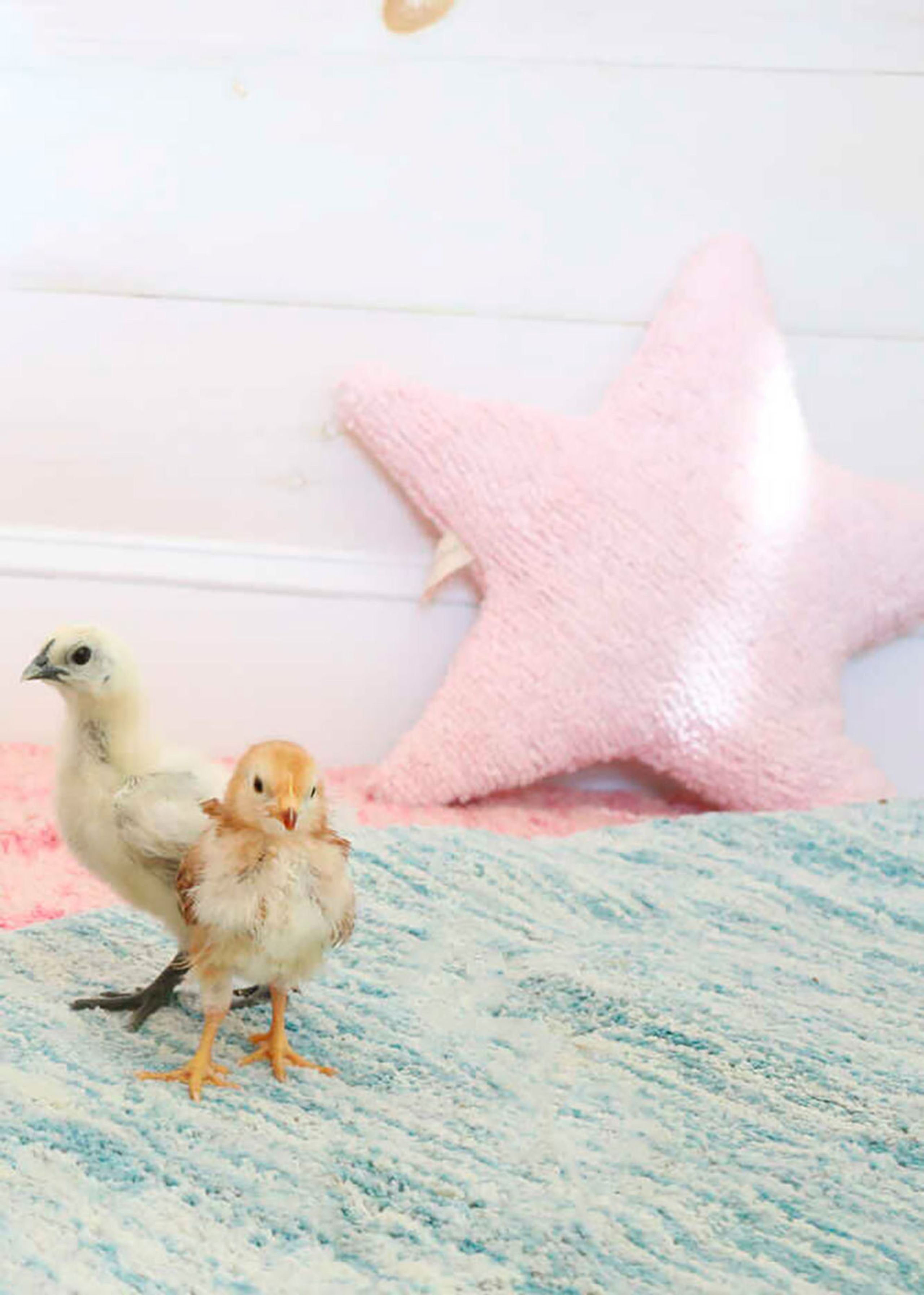 Lorena Canals - Cuscino per bambini - Washable Cushion Star - Pink