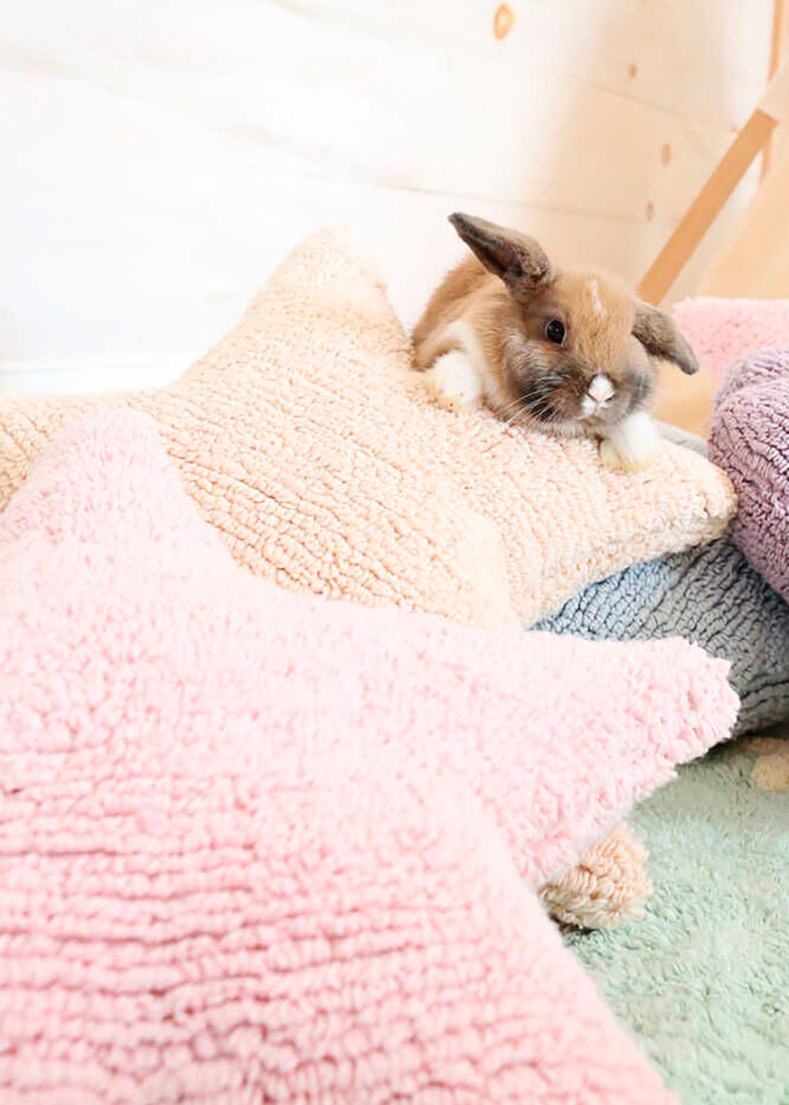 Lorena Canals - Cuscino per bambini - Washable Cushion Star - Pink