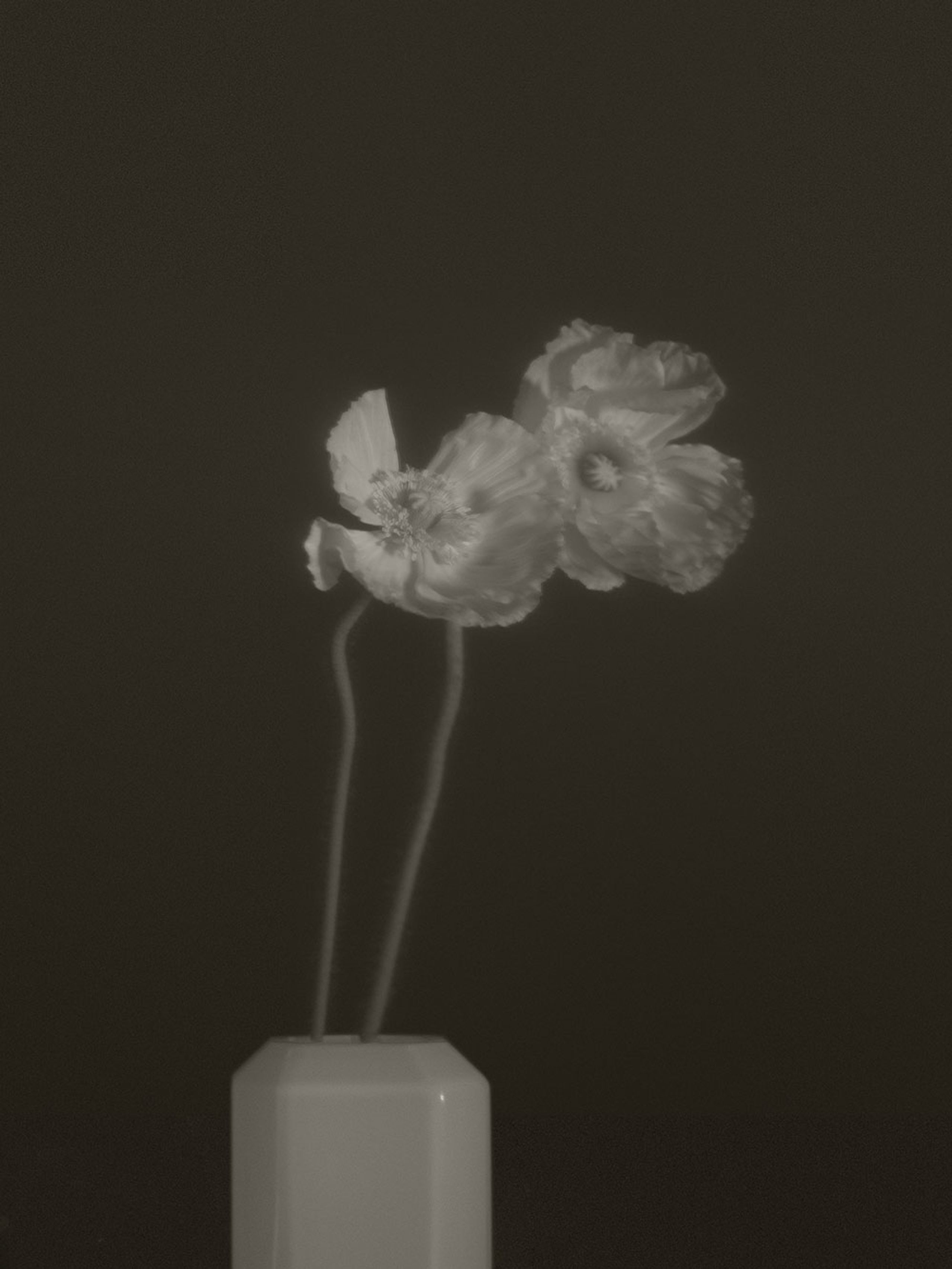 Louise Roe - Vase - Jewel Vase - 03 Green