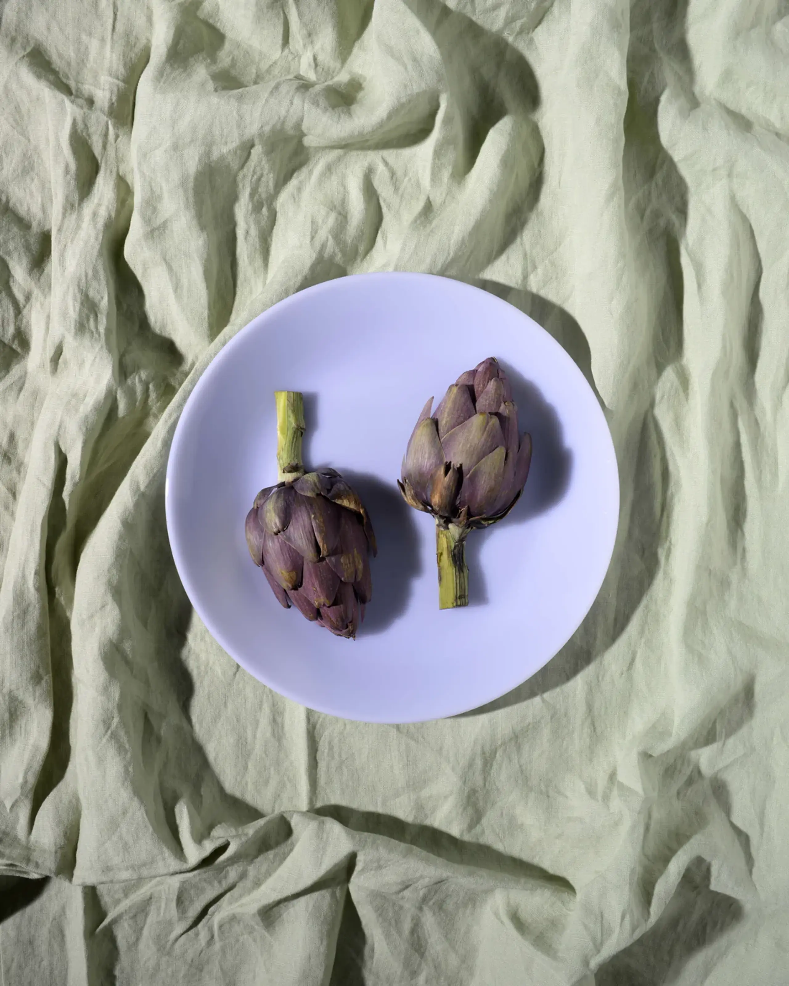 Lucie Kaas - Disque - Milk Plate - Lunch - Lavender