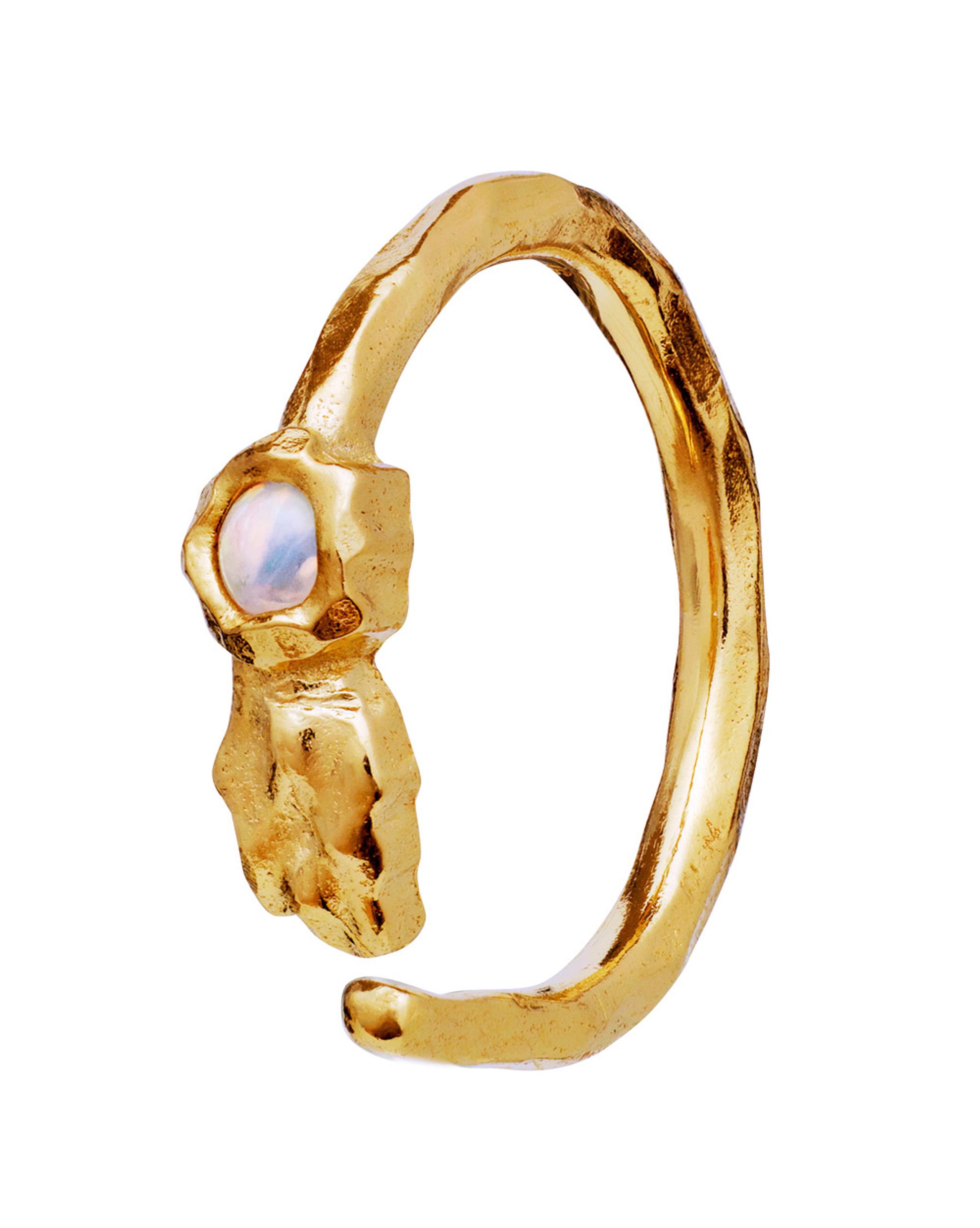 Maanesten - Earring - Florus Earring - Goldplated