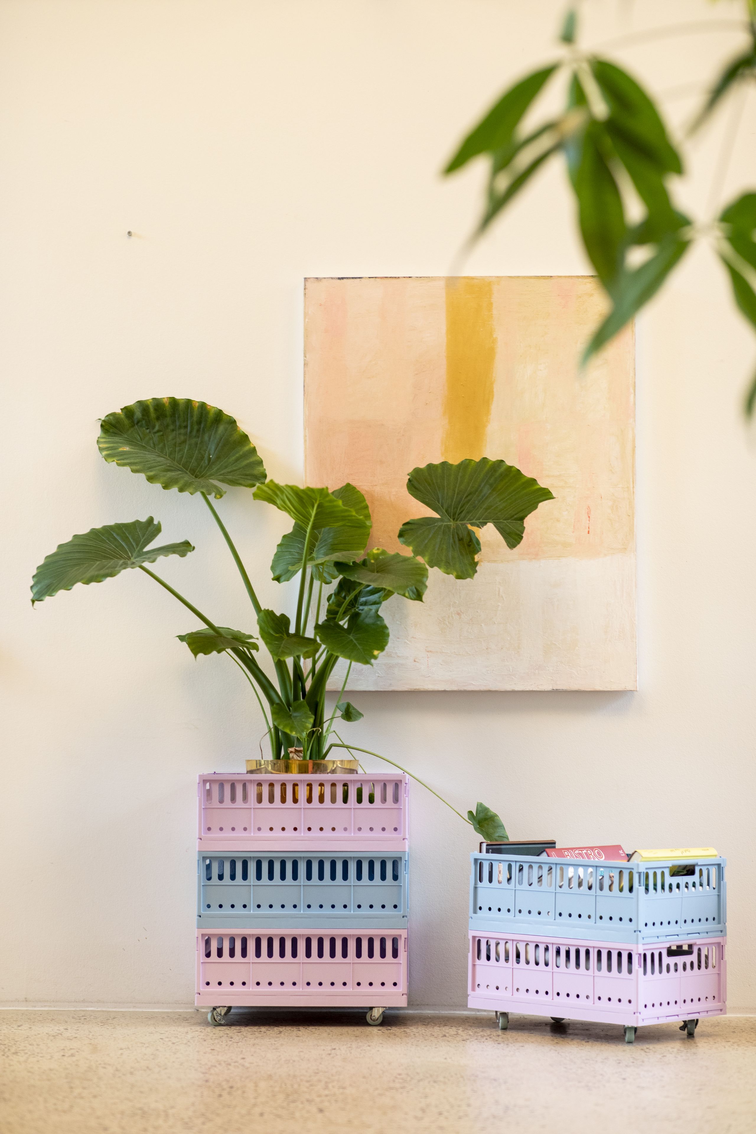 Made Crate - Krabice - Made Crate Maxi - blush