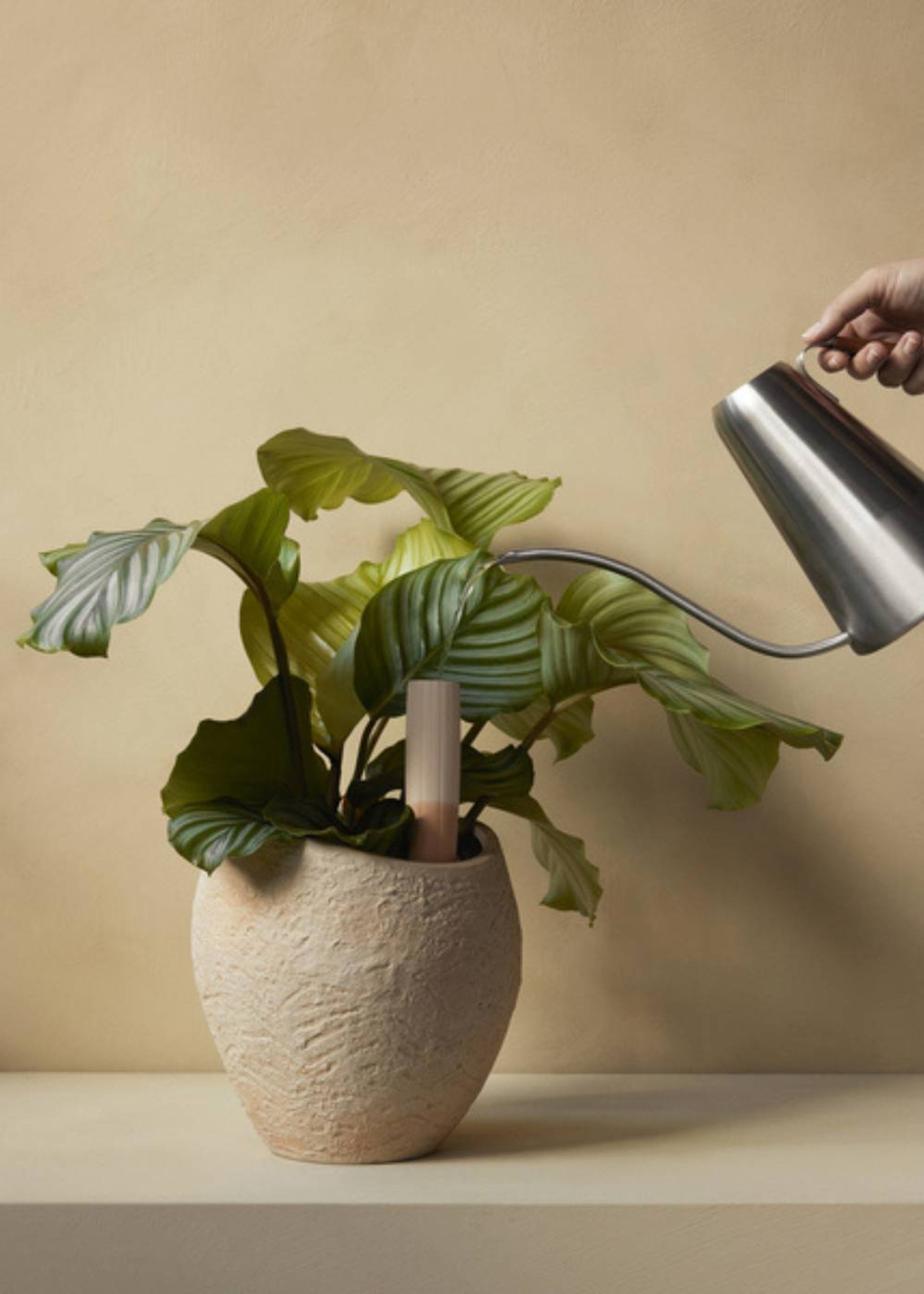 MENU - Tarro - Plantas Planter - Ivory - H24