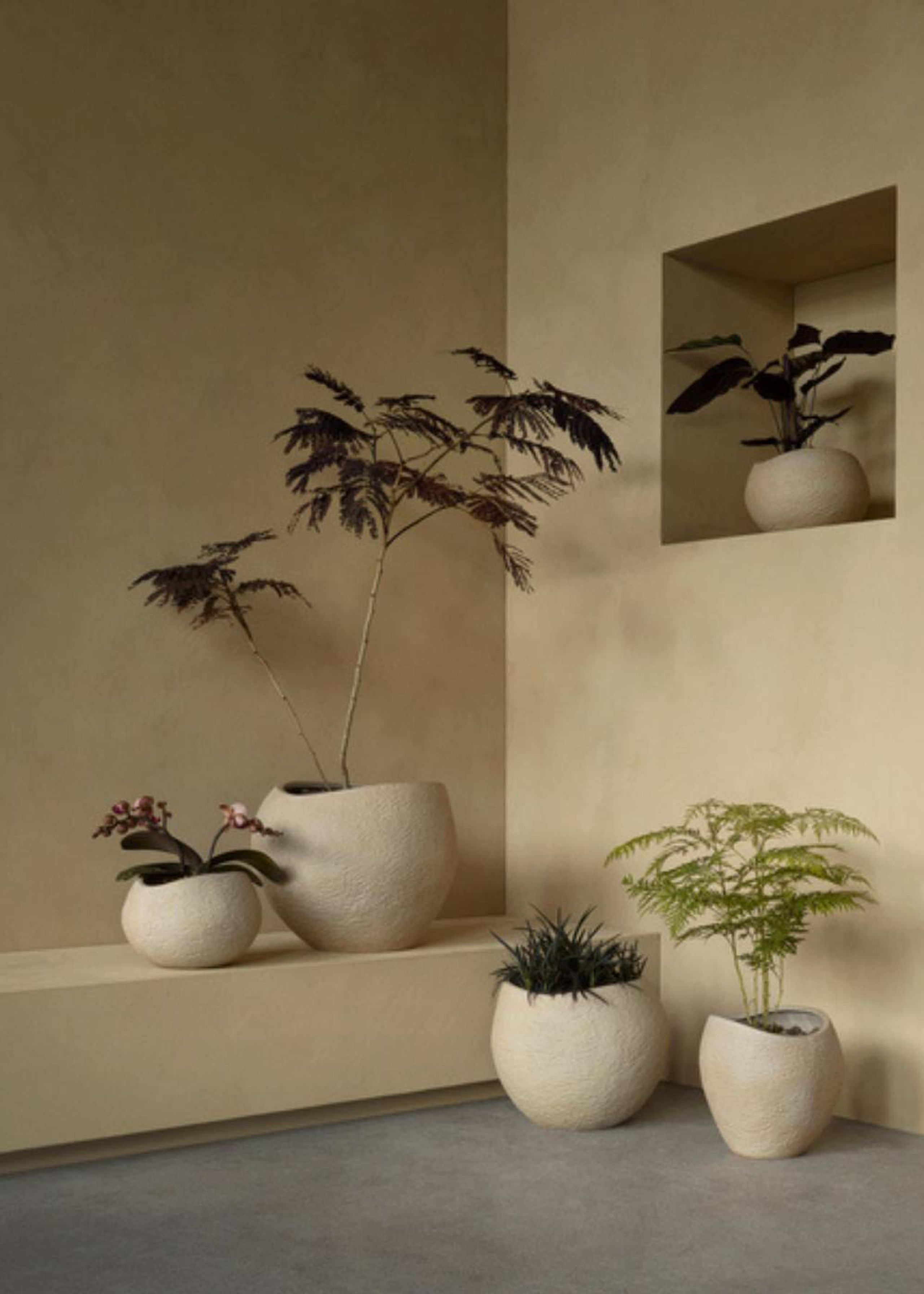 MENU - Tarro - Plantas Planter - Ivory - H24