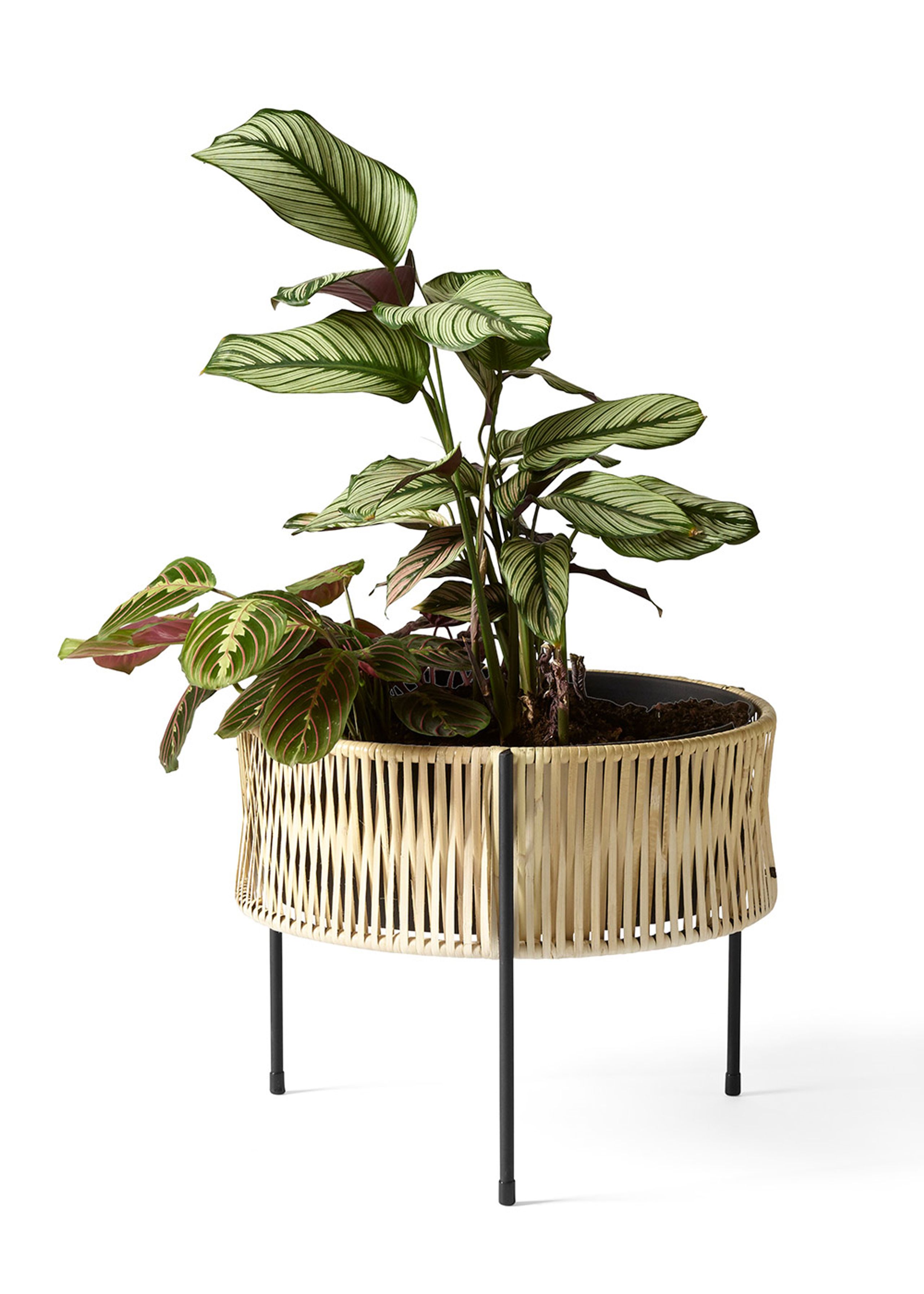 MENU - Plantekasse - Umanoff Planter - Black Rattan - medium